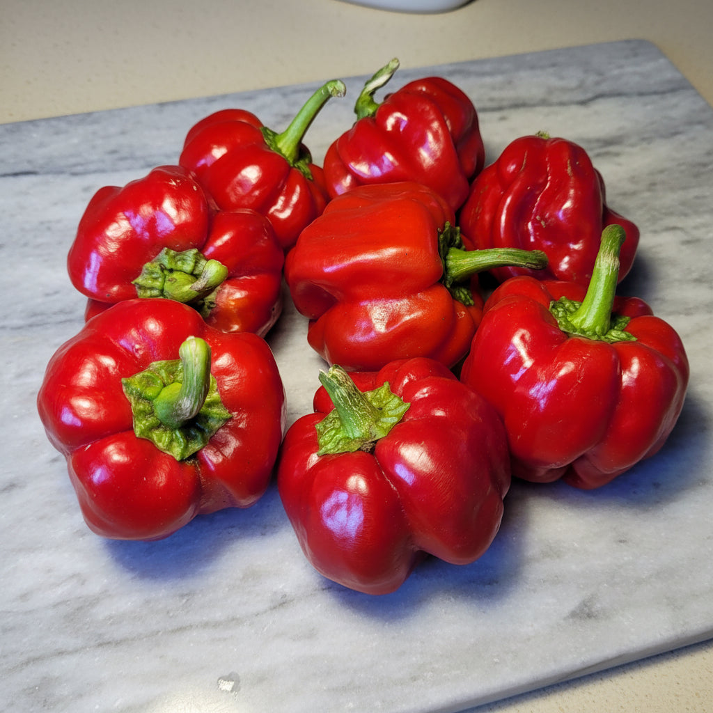 AMPIUS SWEET PEPPER SEEDS