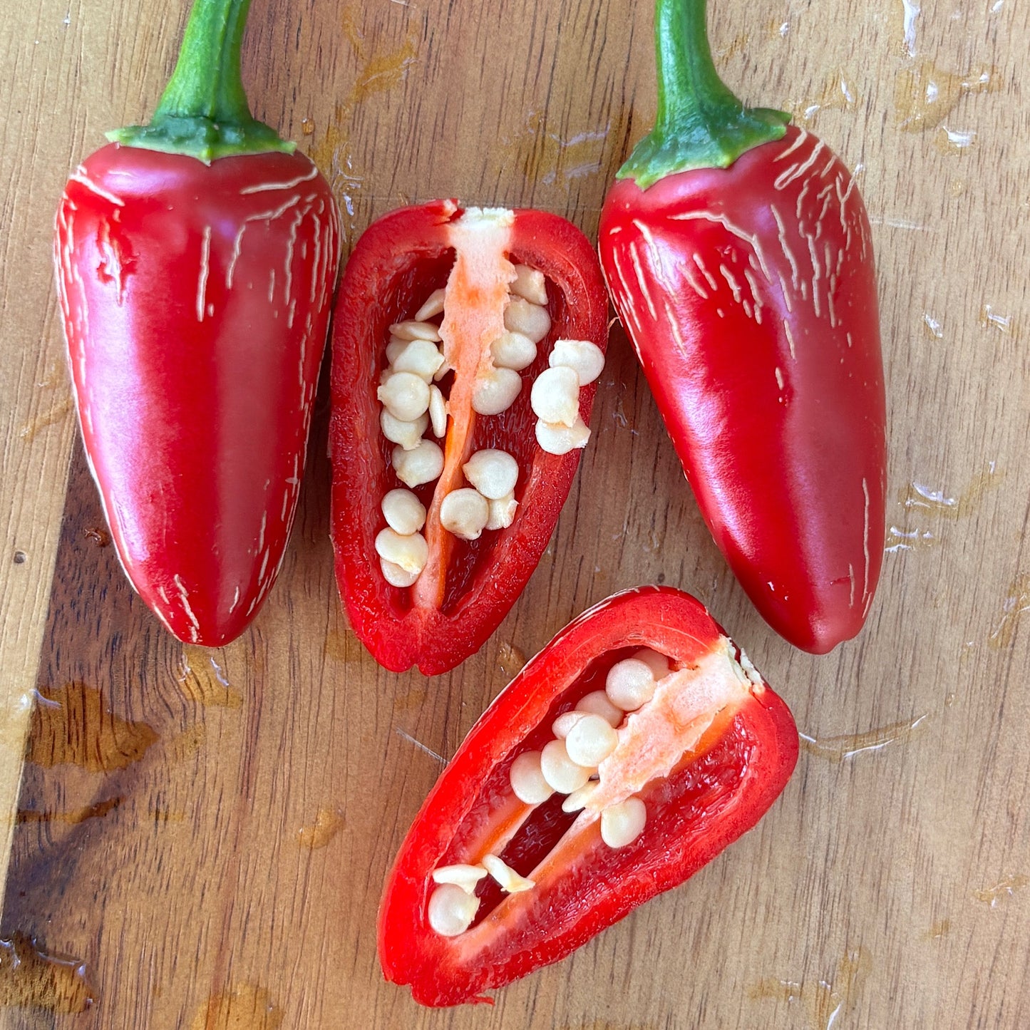 RAYADOS JALAPENO PEPPER SEEDS