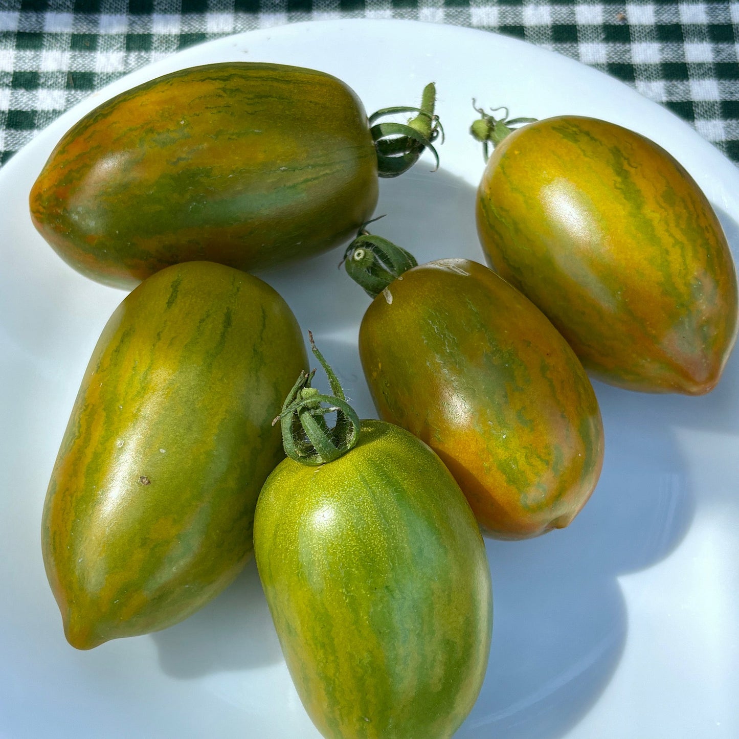 SAUCY MARY DWARF TOMATO SEEDS