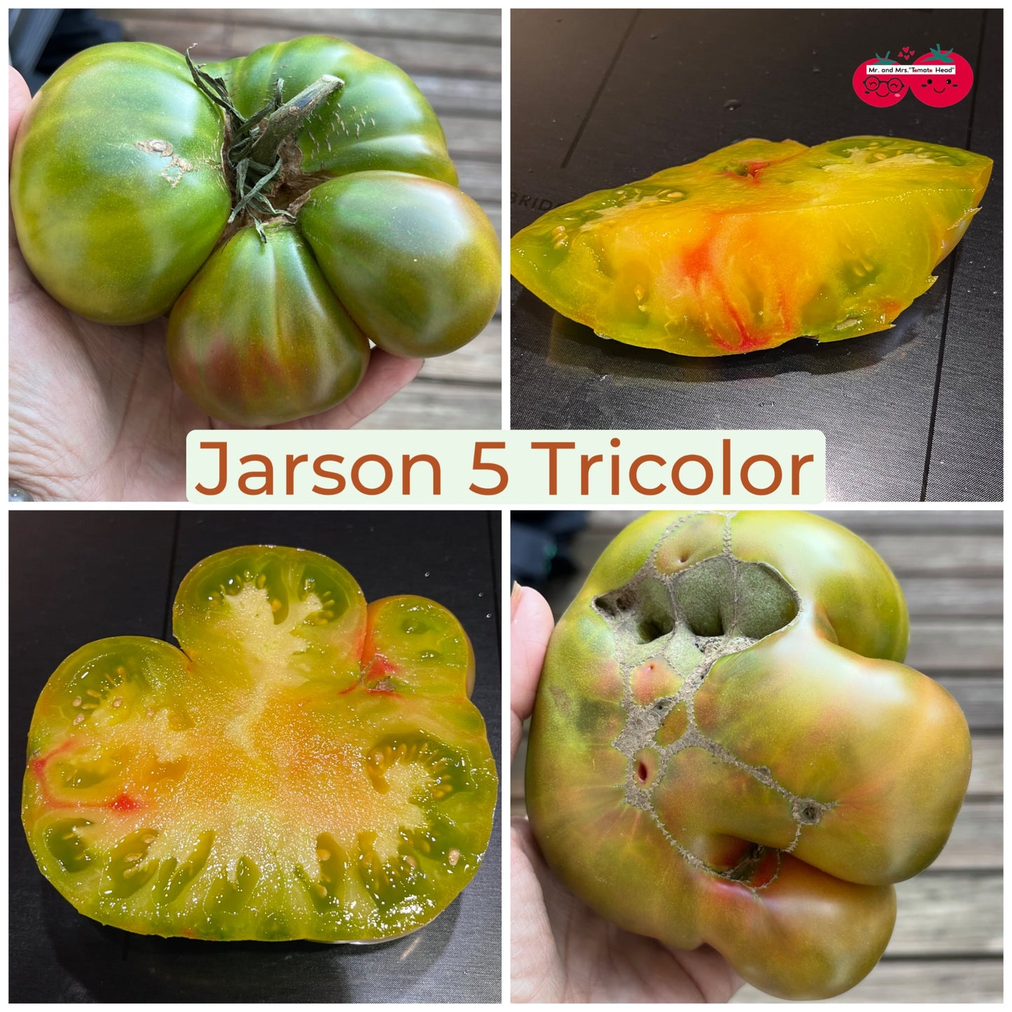 JARSON 5 TRICOLOR TOMATO SEEDS
