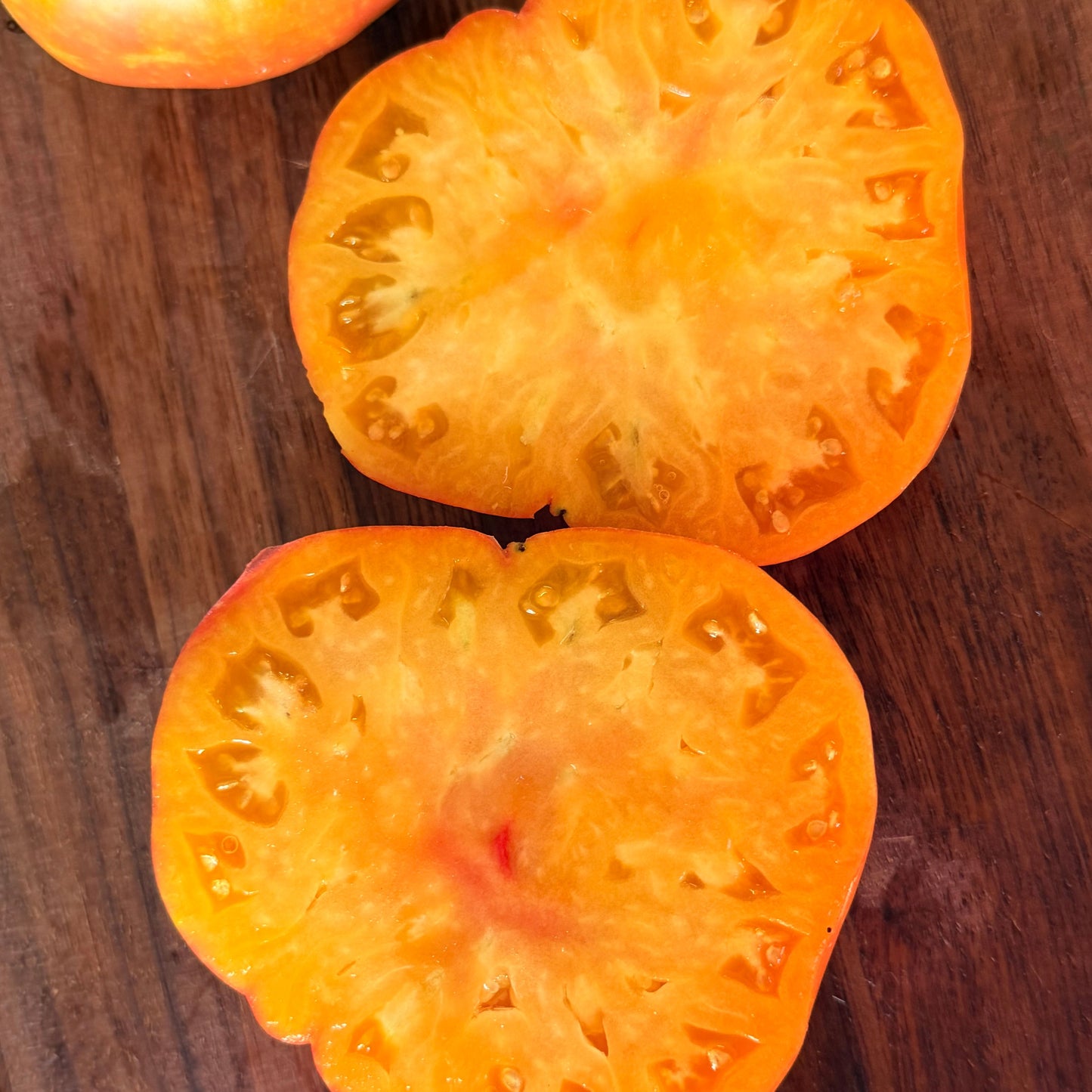 ALLEGHENEY SUNSET TOMATO SEEDS