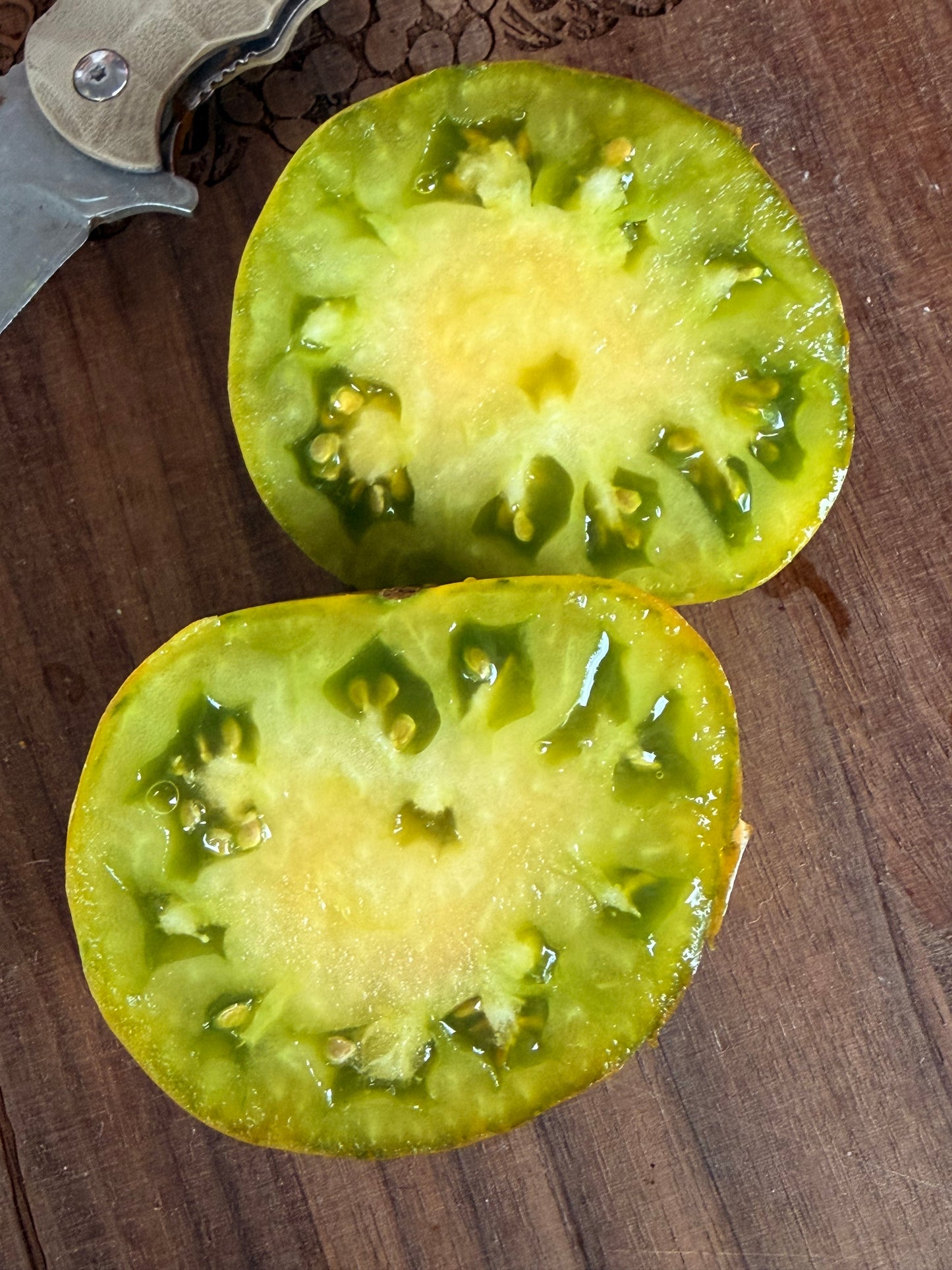 RACER X TOMATO SEEDS