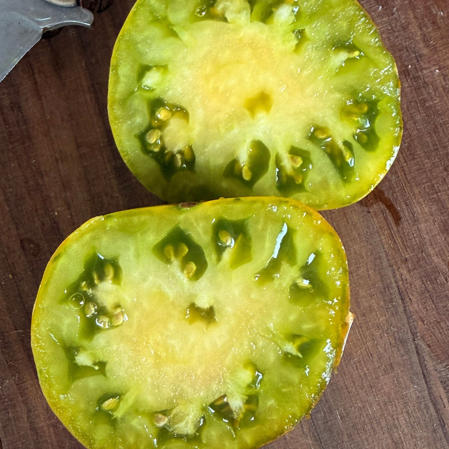 RACER X TOMATO SEEDS
