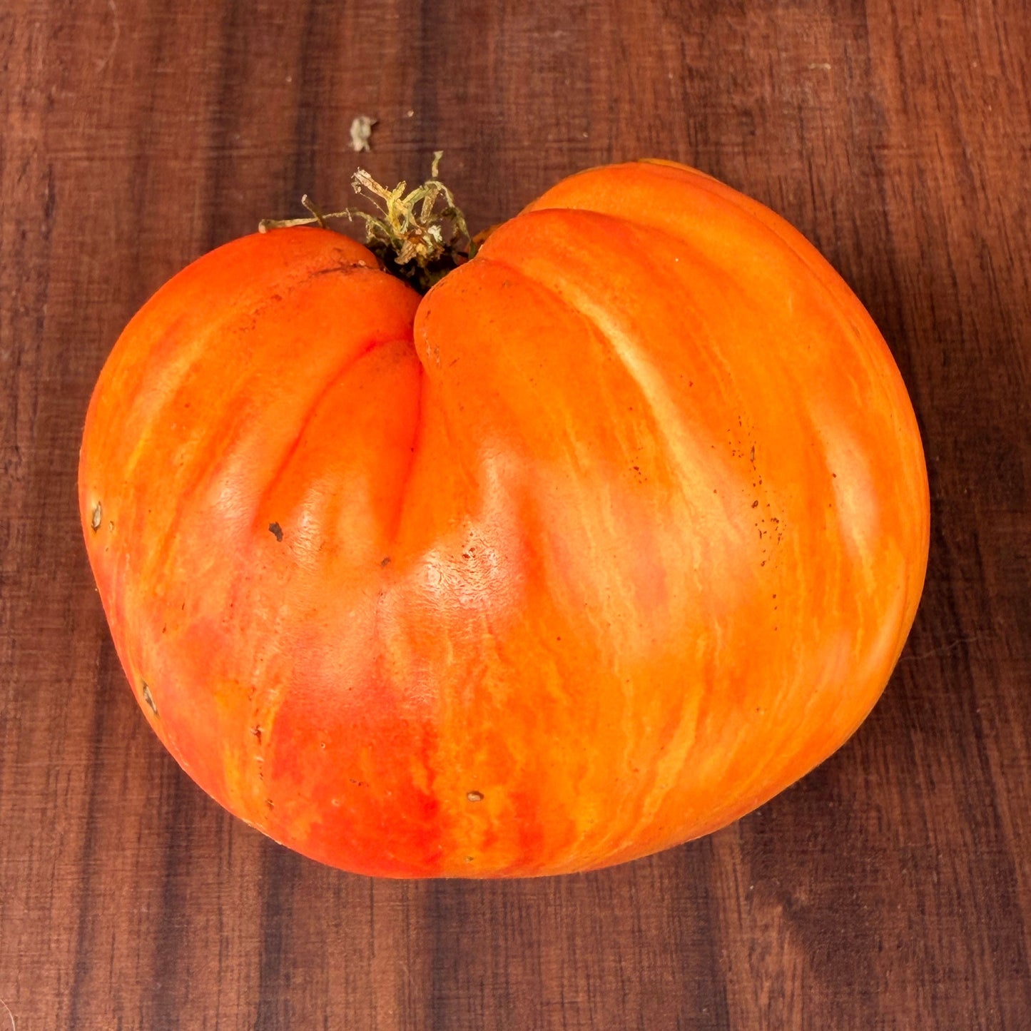 SOFIA’S SWEET CARAMEL TOMATO SEEDS