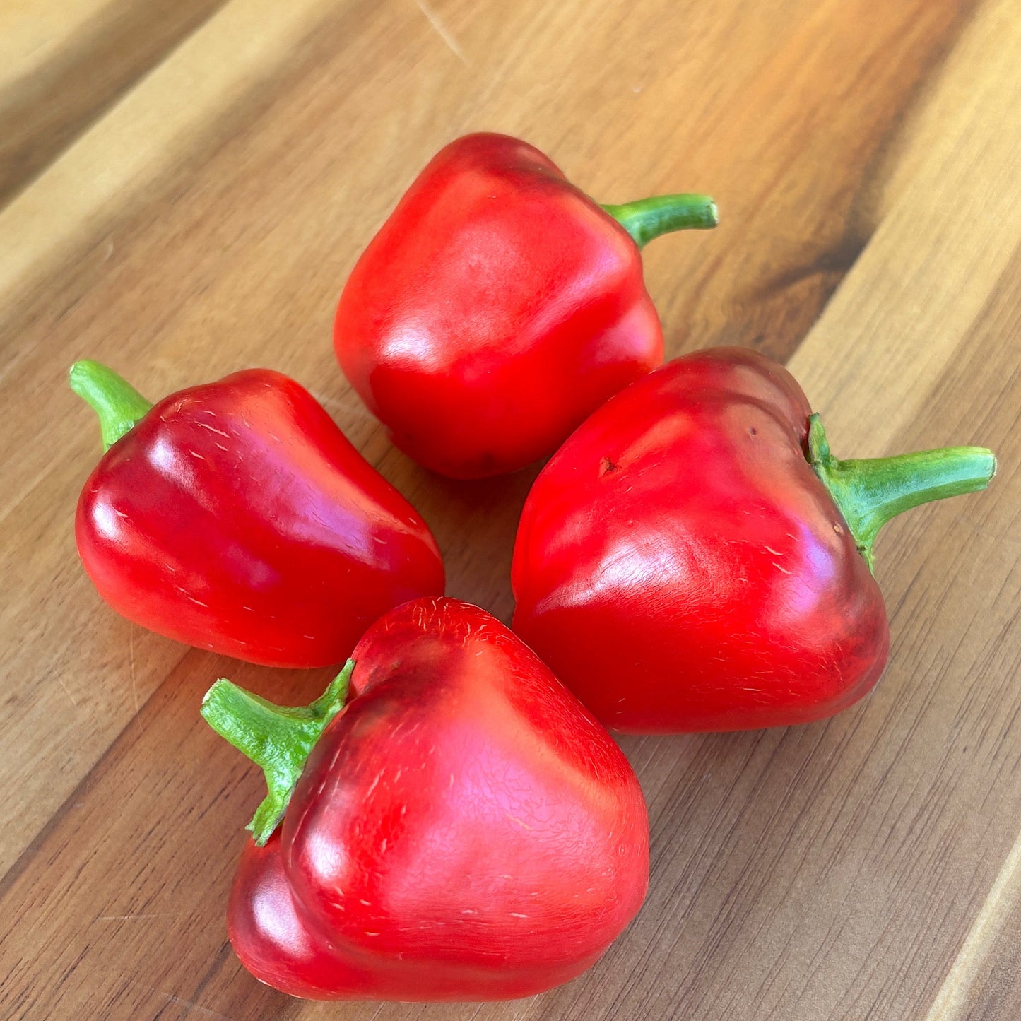 LESYA MINI RED PEPPER SEEDS