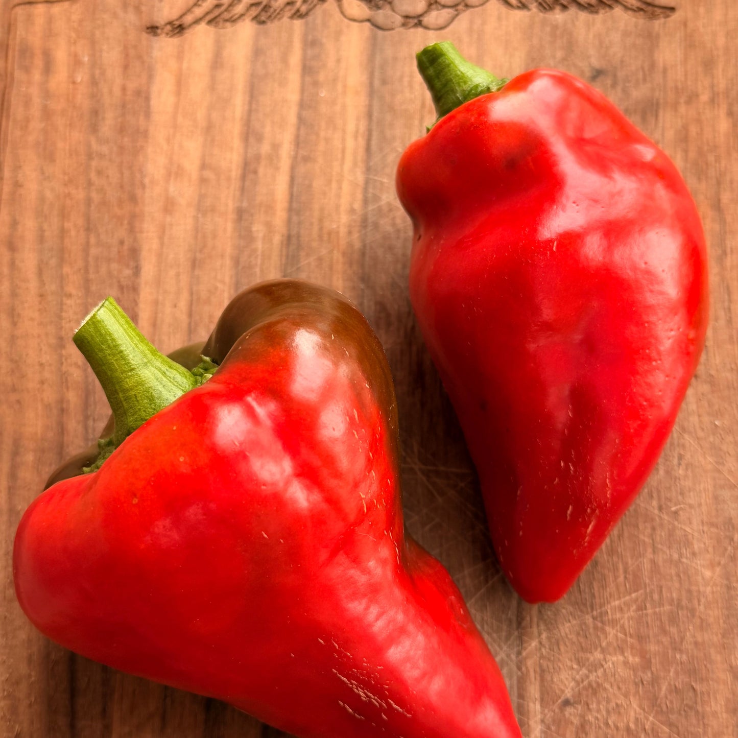 LESYA SWEET RED PEPPER SEEDS