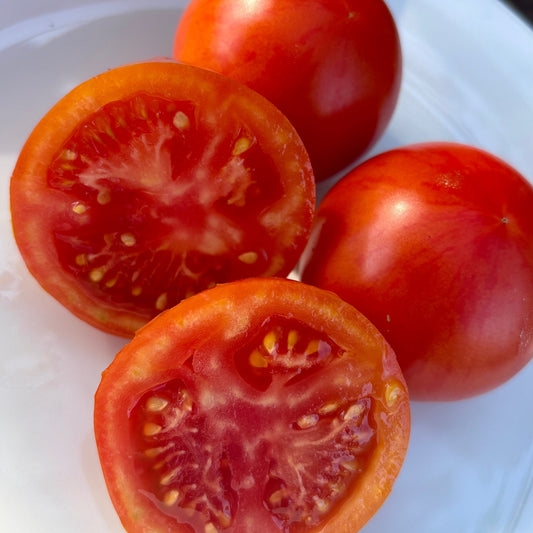 JACKASS RED DWARF TOMATO SEEDS
