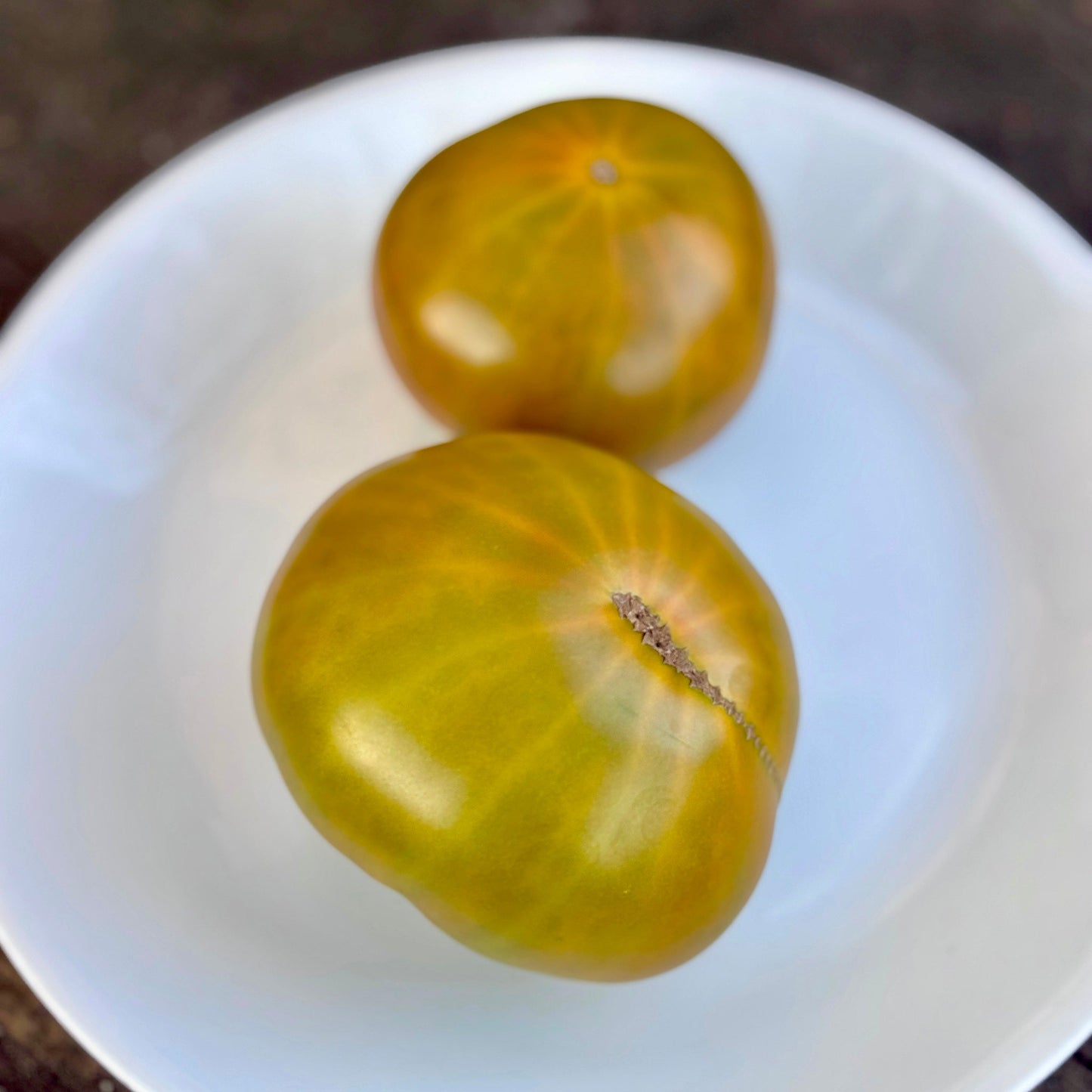 622-08 DWARF UKRANIAN TOMATO SEEDS
