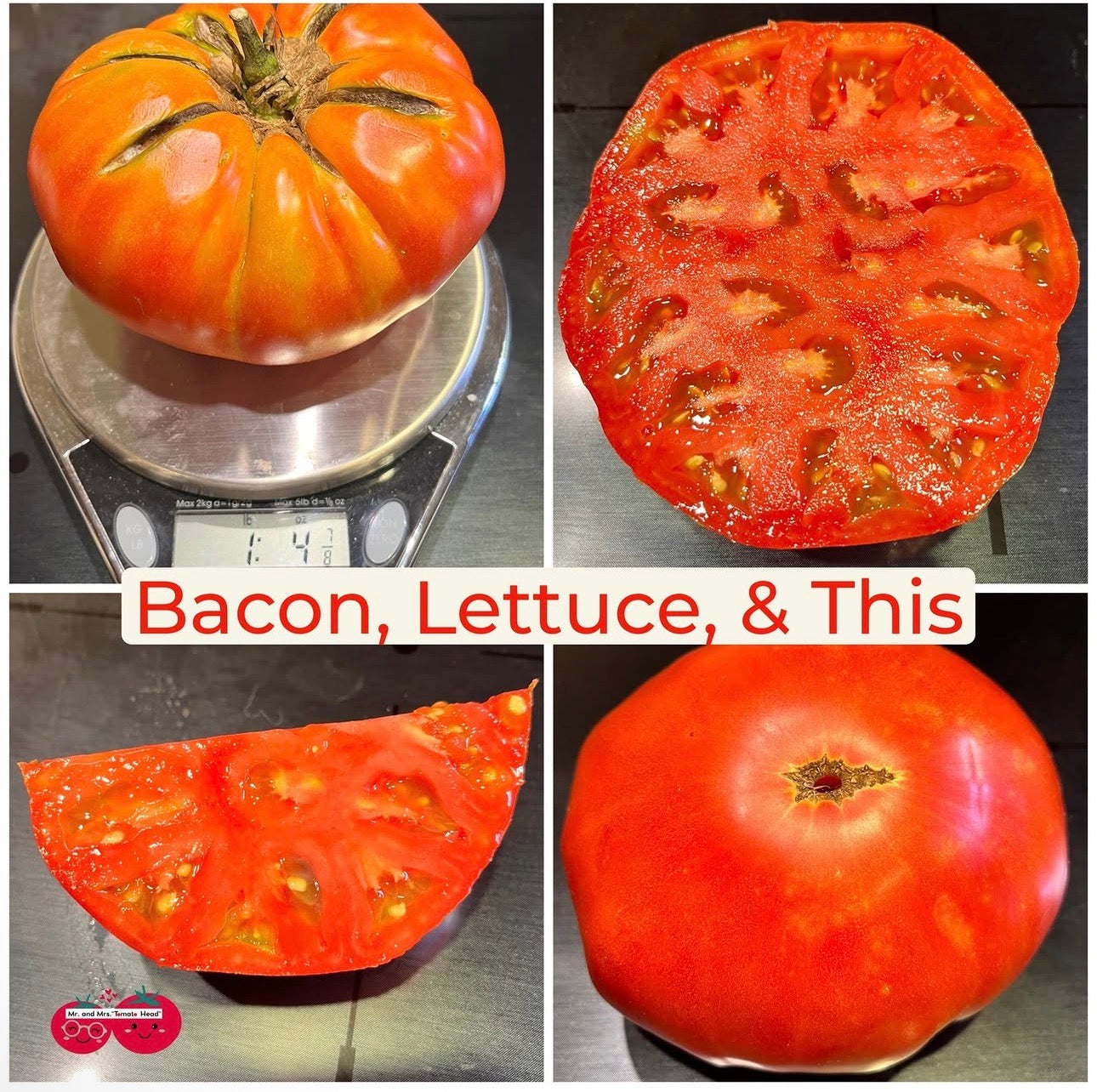 BACON LETTUCE and THIS TOMATO SEEDS