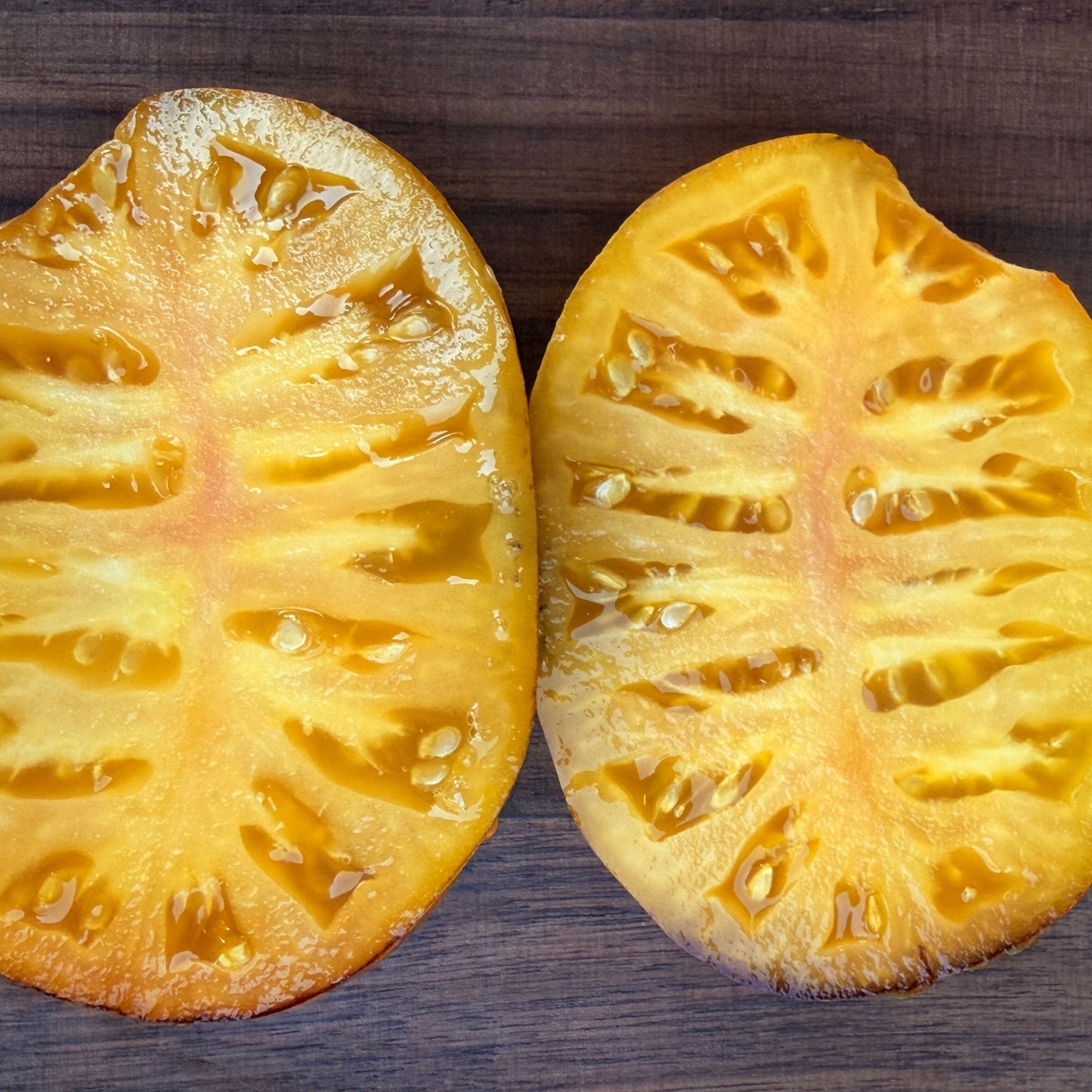 CH-CHECK IT OUT TOMATO SEEDS