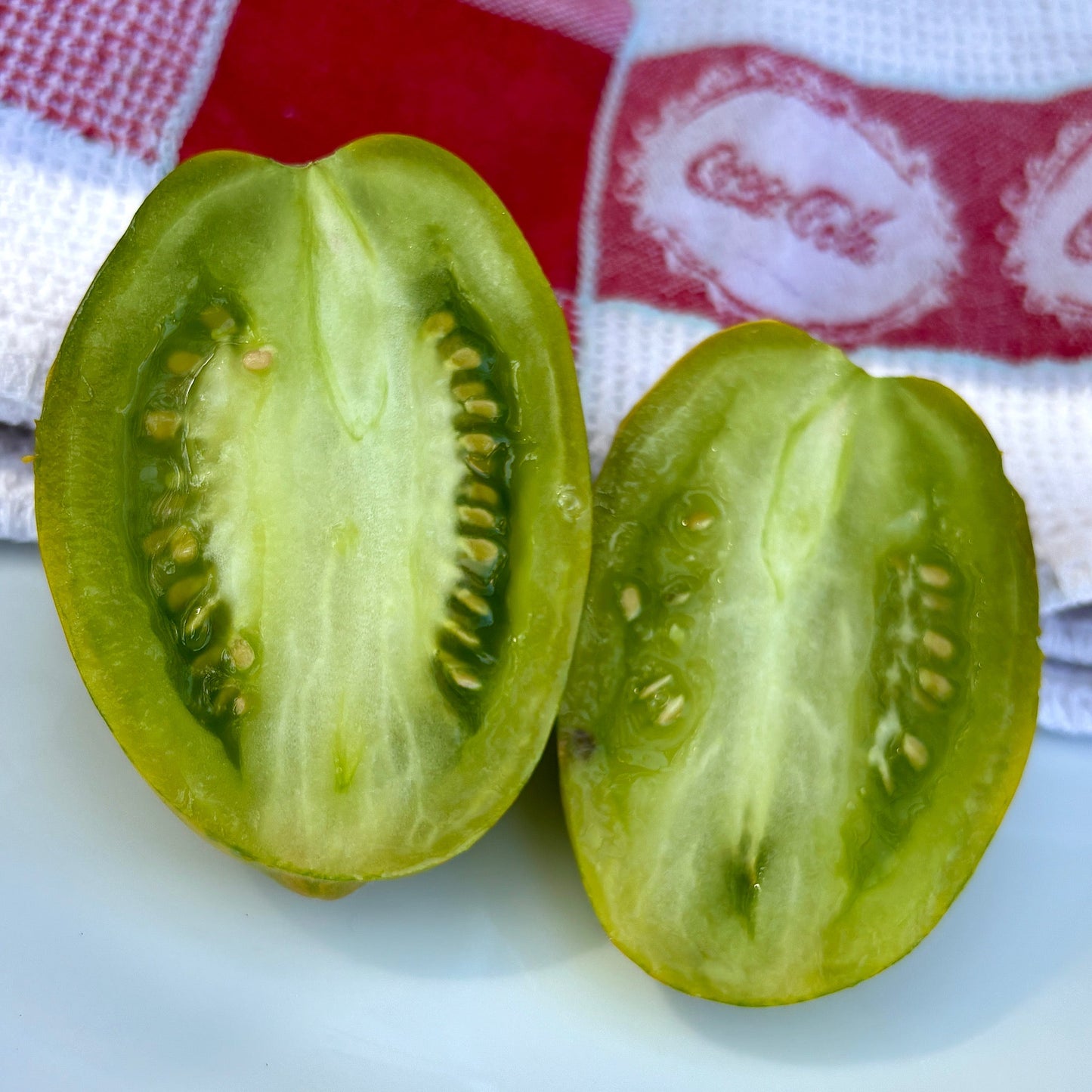 SAUCY MARY DWARF TOMATO SEEDS