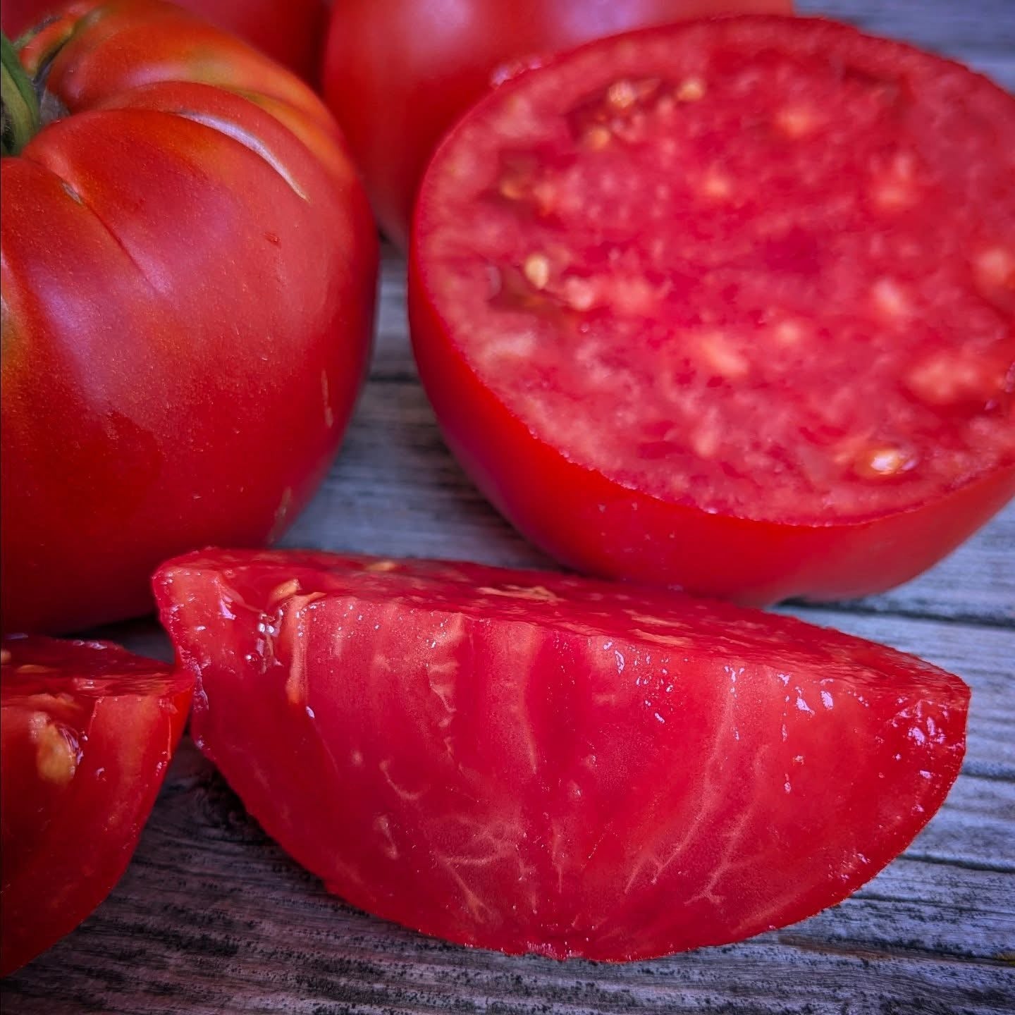 Sugar Pudding Tomato Seeds