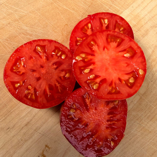 SABOTAGE TOMATO SEEDS