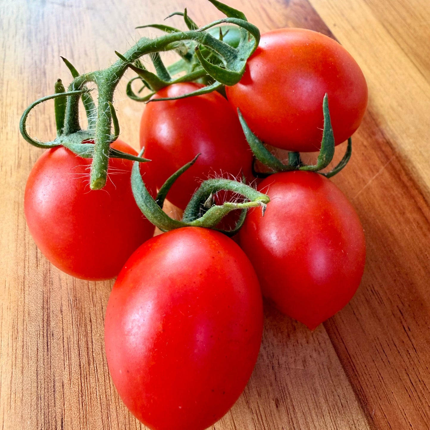 Piennolo del Vesuvio Tomato Seeds