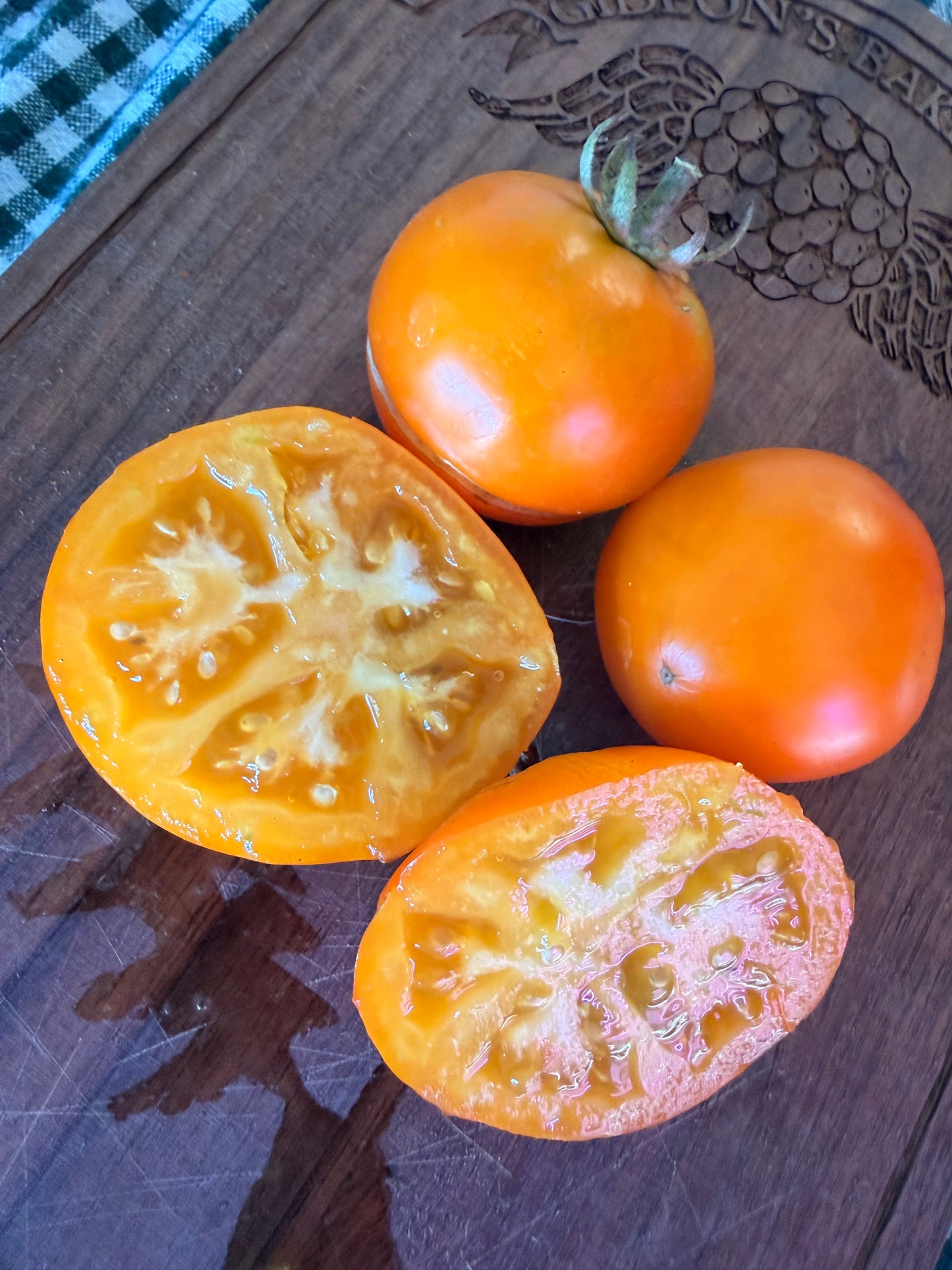 SKYKOMISH TOMATO SEEDS