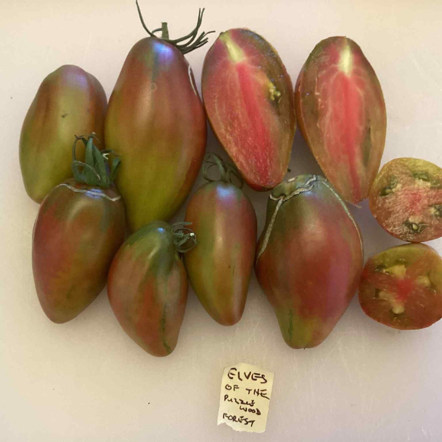 Elves of the Puzzlewood Forest