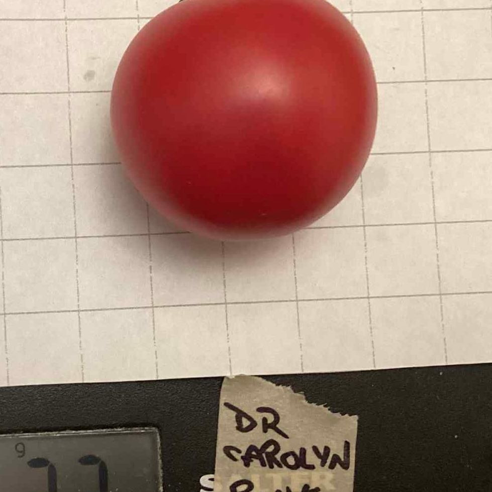 Dr. Carolyn Pink Tomato Seeds