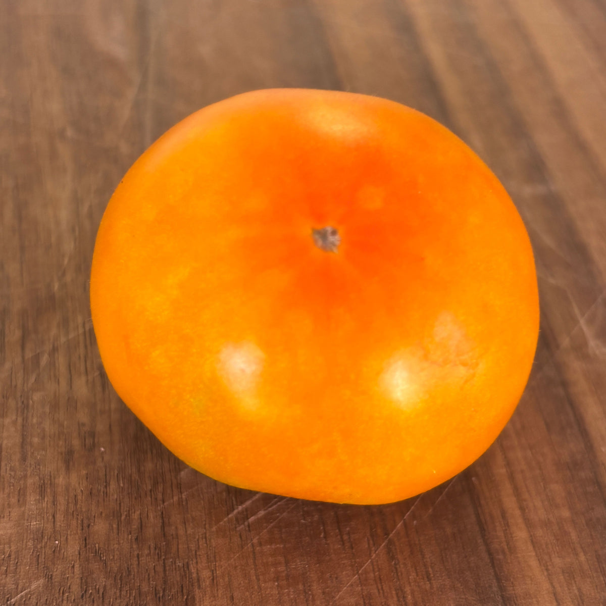 TUPELO HONEY SEEDS