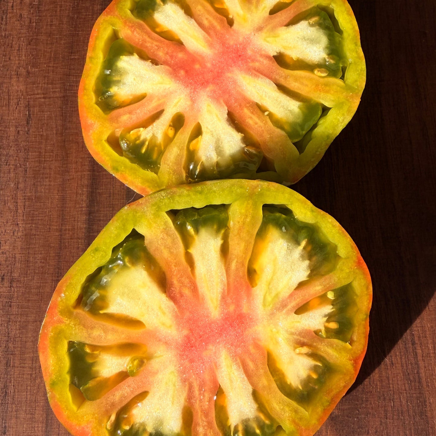 GREEN LANTERN LIGHTS TOMATO SEEDS