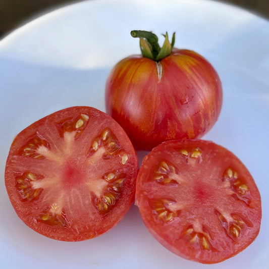 KIP’S STRIPES DWARF TOMATO SEEDS