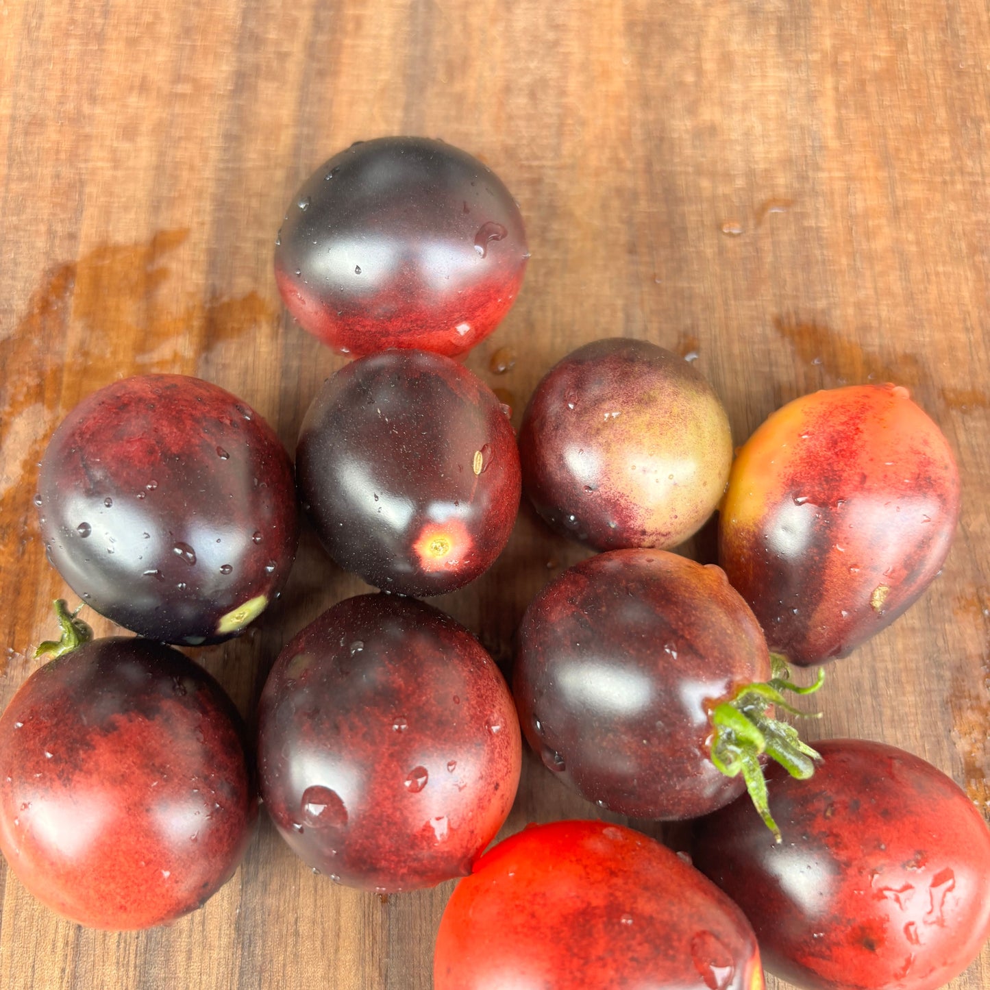 Charlotte Sometimes Tomato Seeds
