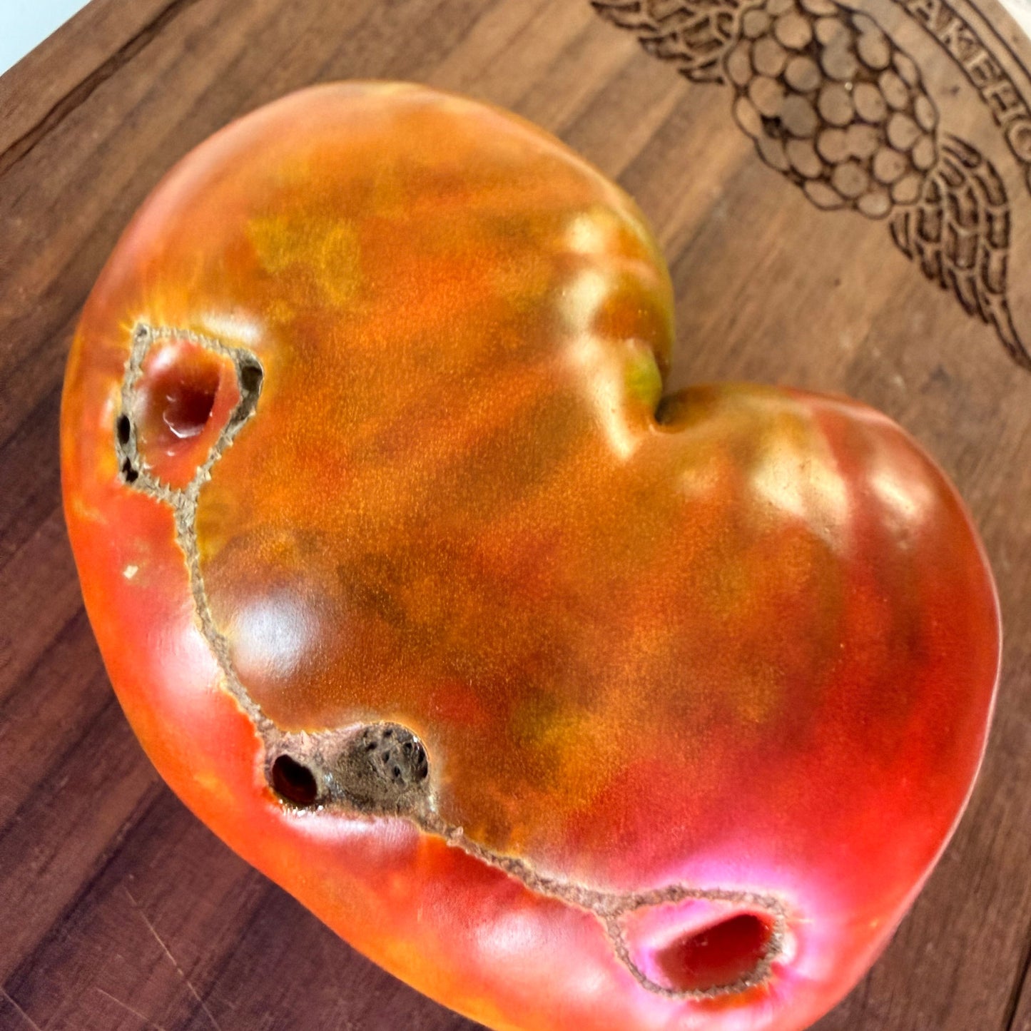 CHOCOLATE HENRY TOMATO SEEDS