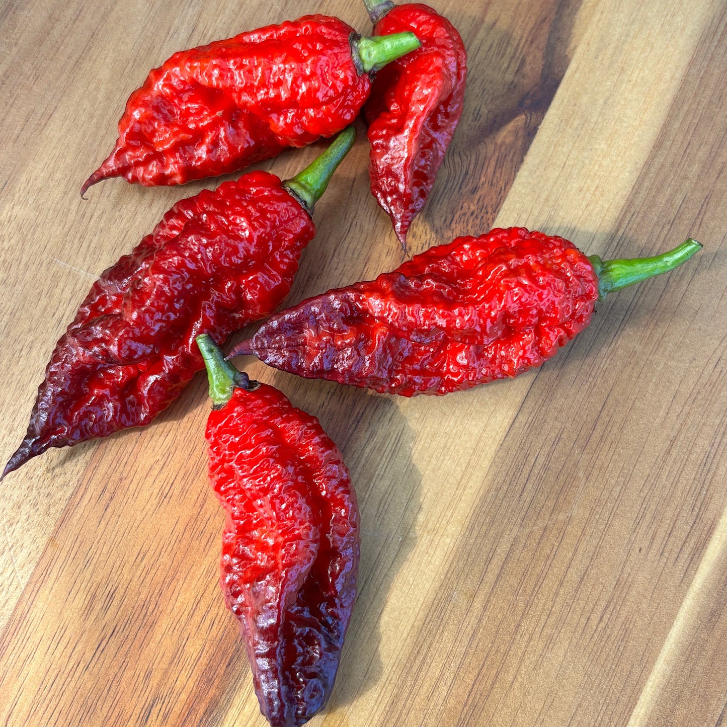 BORG 9 PEPPER SEEDS