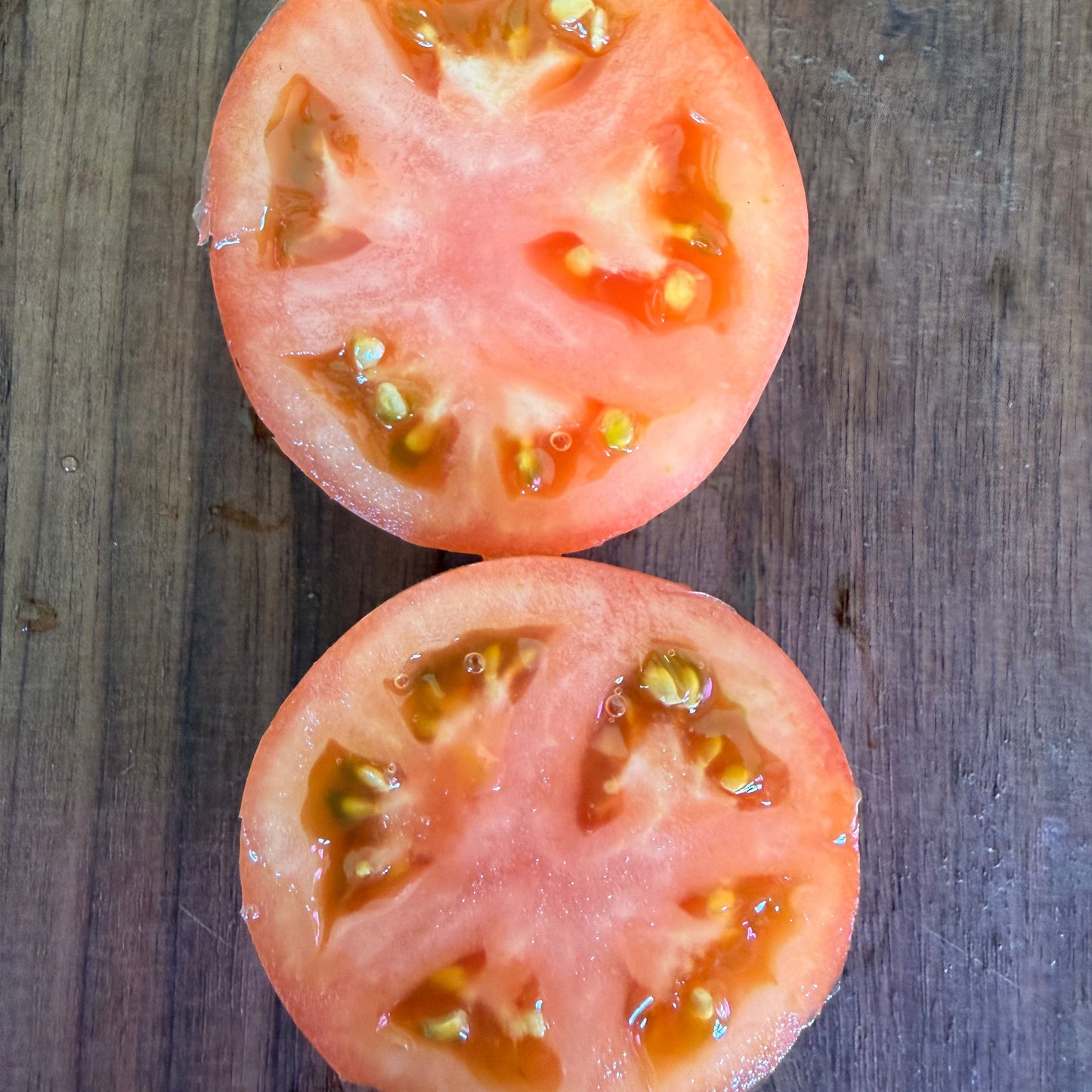 MISORA JAPANESE TOMATO SEEDS