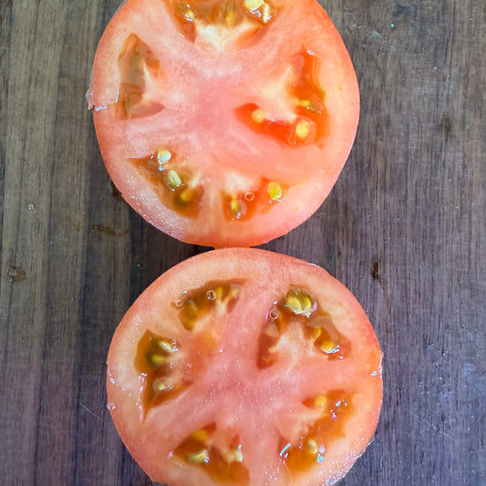 MISORA JAPANESE TOMATO SEEDS