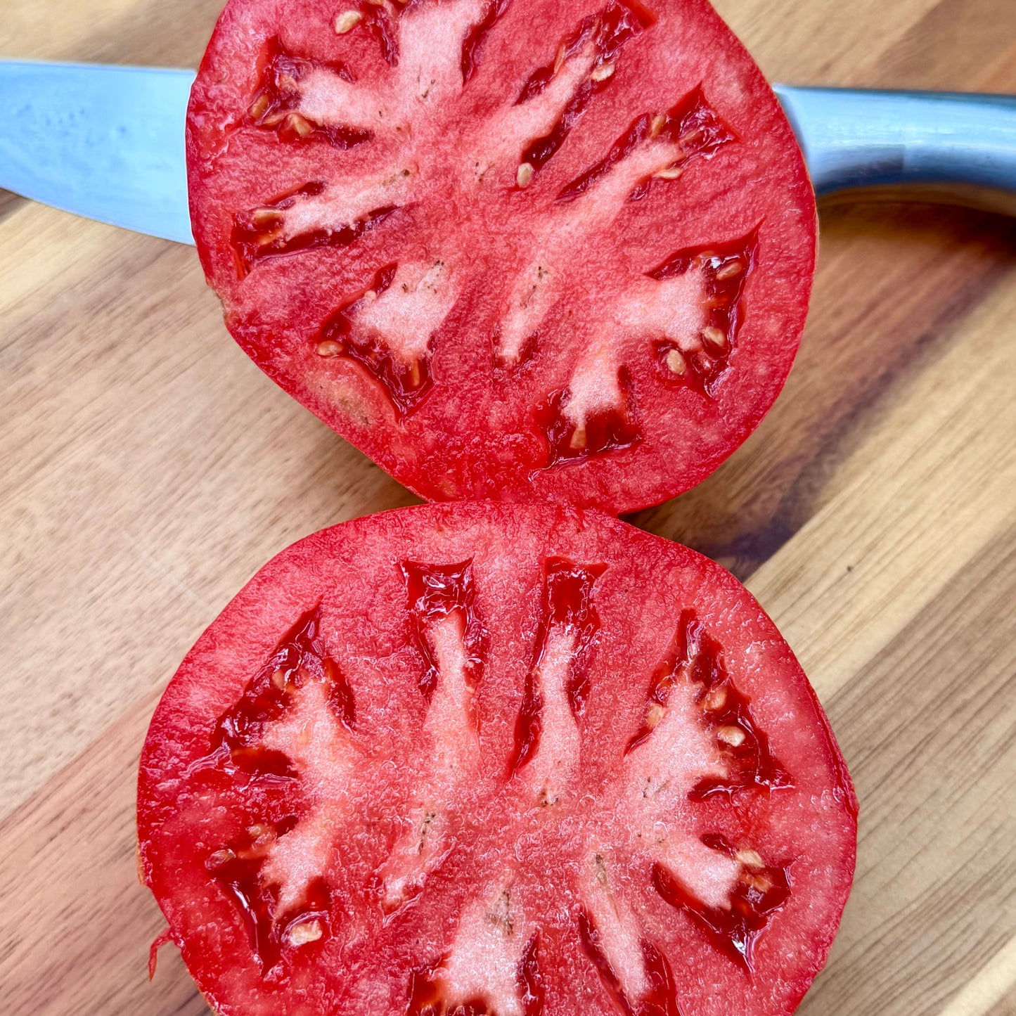Red Mustang Tomato Seeds