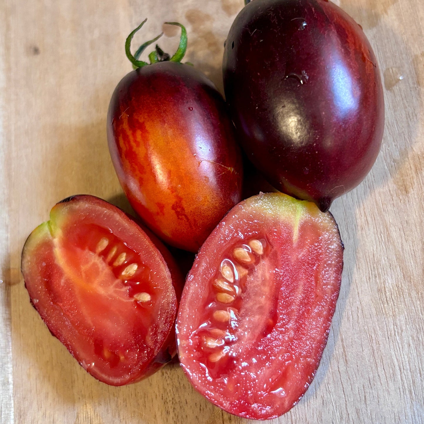 SHADOW BOXING DWARF TOMATO SEEDS
