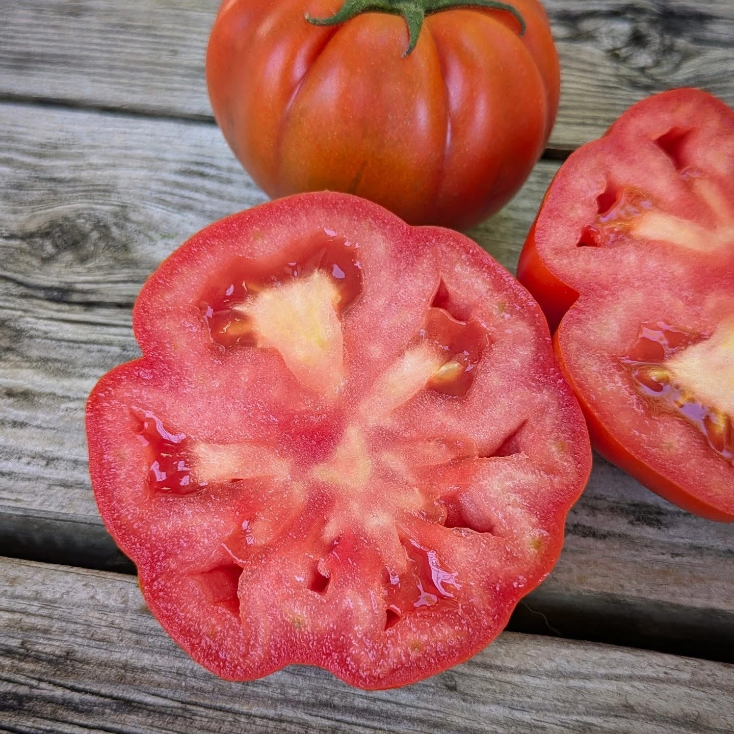 Marinda Tomato Seeds