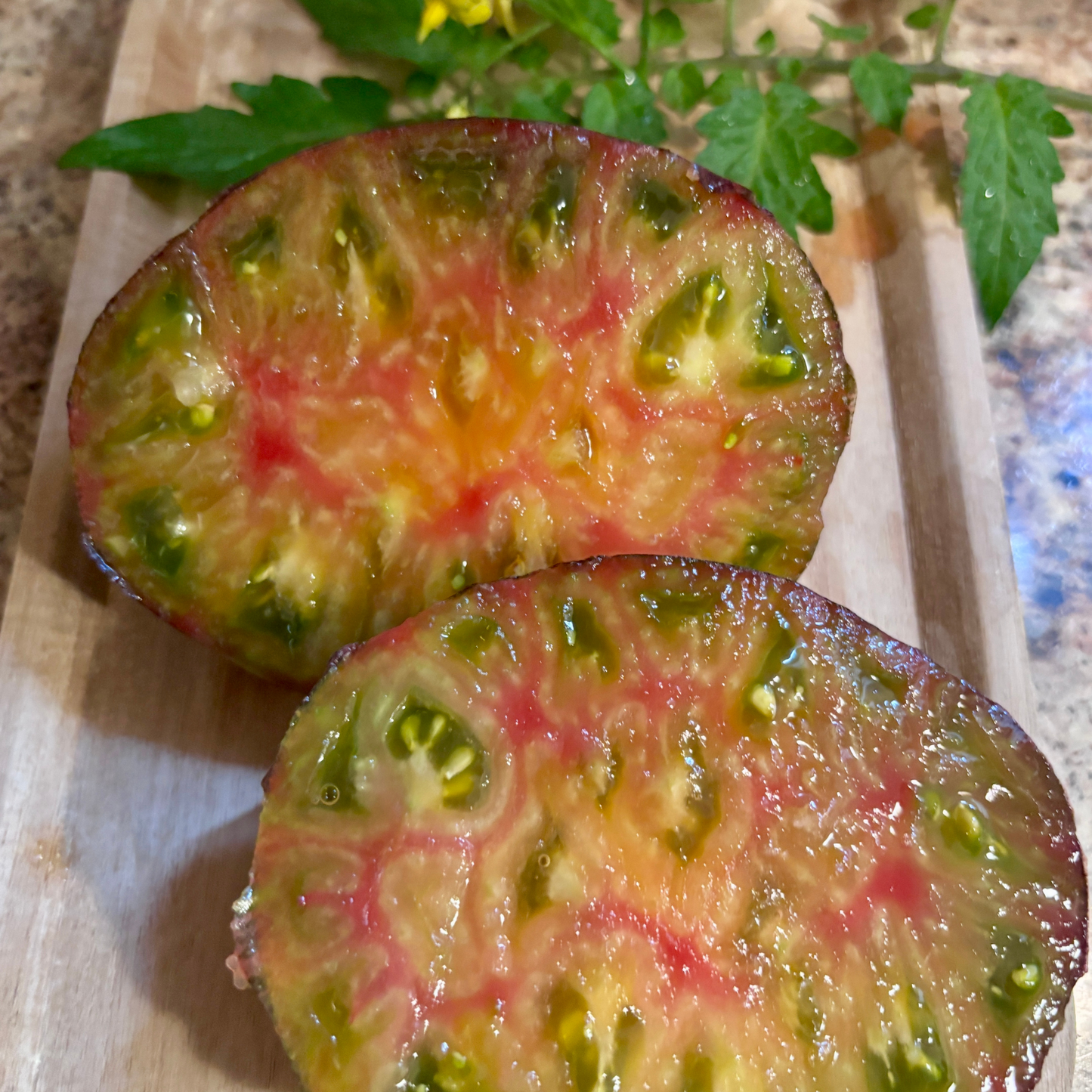 FASCINATION STREET TOMATO SEEDS BY BILL YODER