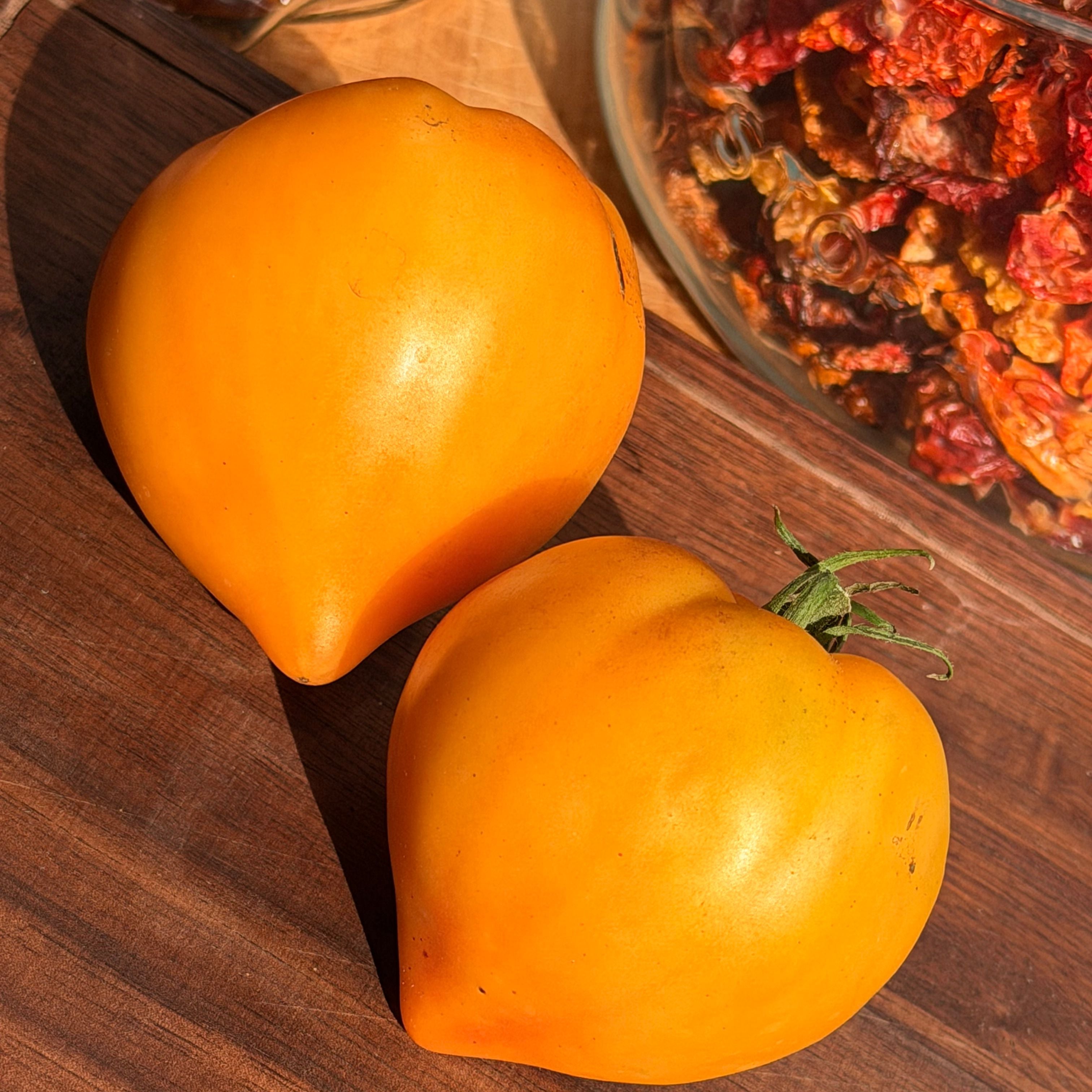 tomato._530さん、7-29-6 KOZULA 156 TOMATO SEEDS – Secret Seed Cartel
