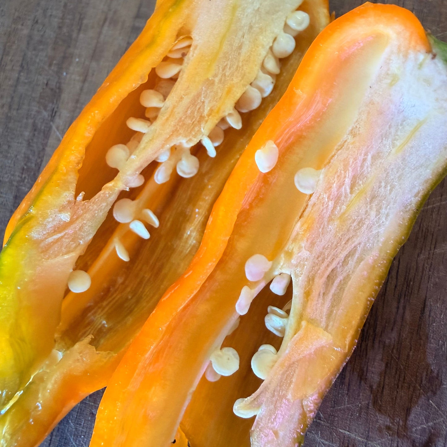 GIANT SWEET DEVILS HORN PEPPER SEEDS