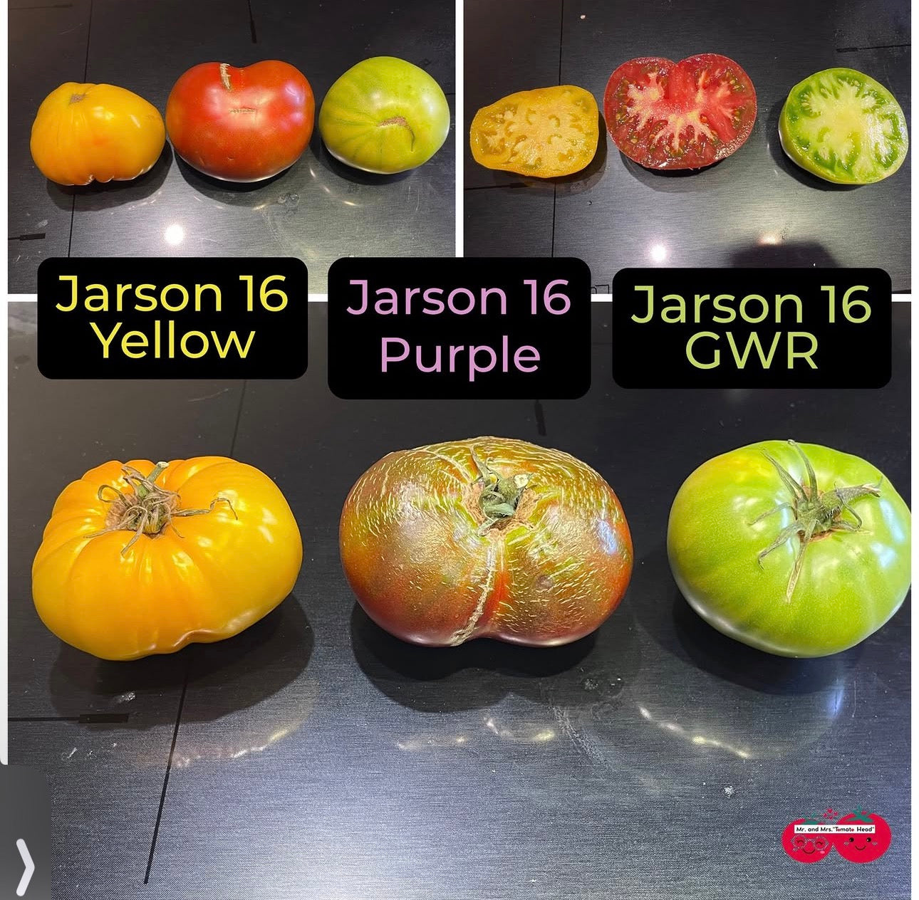 JARSON 16 GWR TOMATO SEEDS