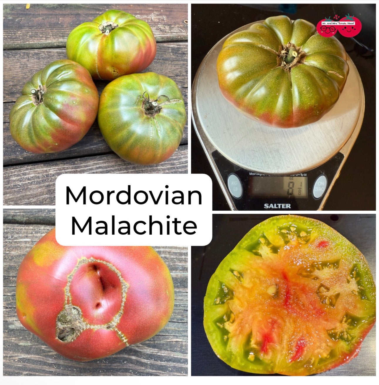 MORDOVIAN MALACHITE TOMATO SEEDS