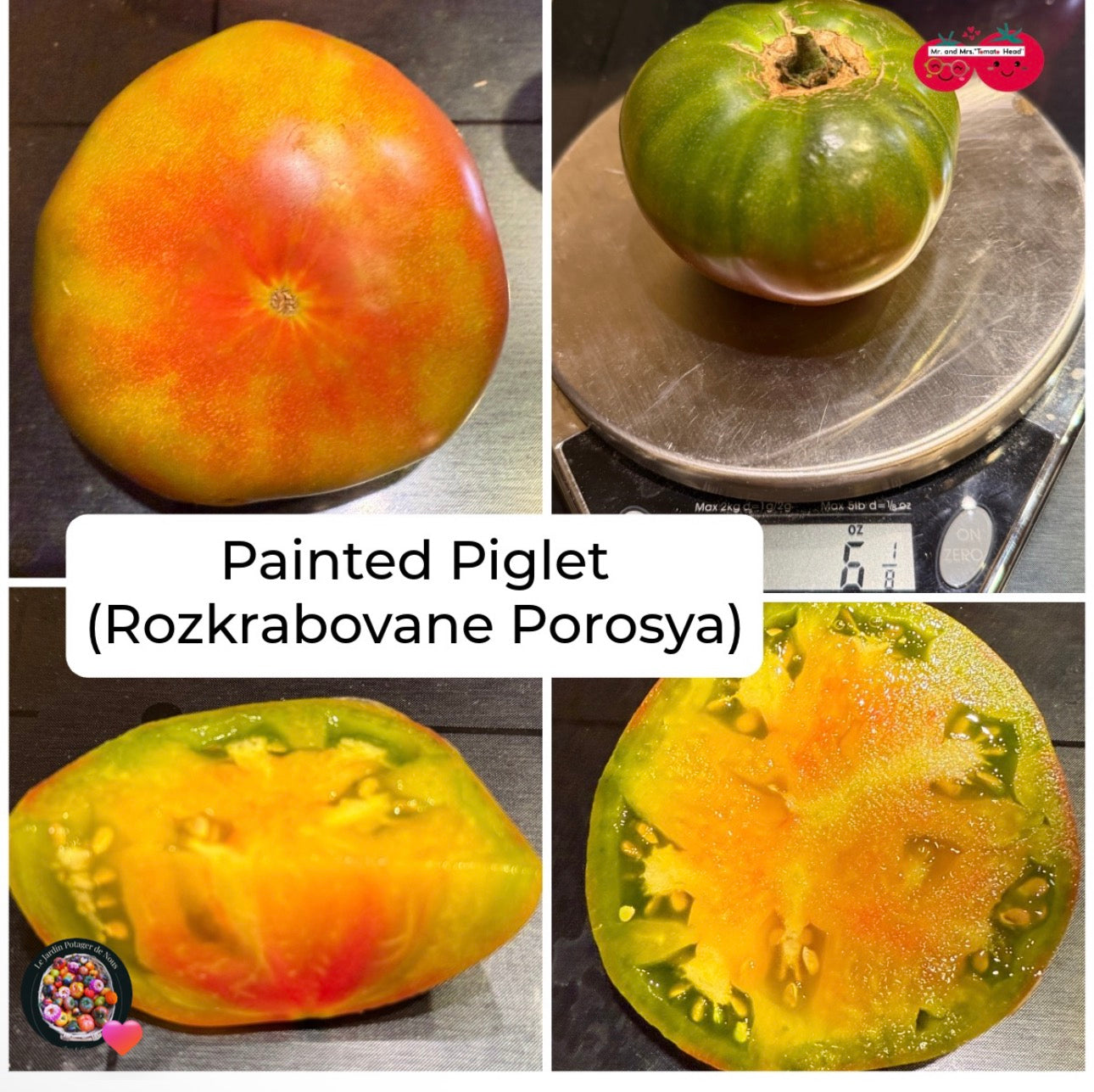 PAINTED PIGLET TOMATO SEEDS