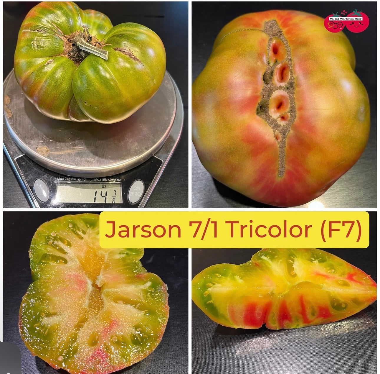 JARSON 7/1 TRICOLOR TOMATO SEEDS (F7)