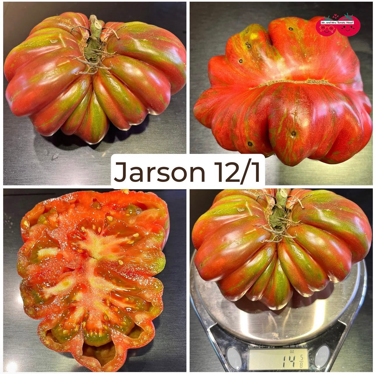 JARSON 12/1 TOMATO SEEDS