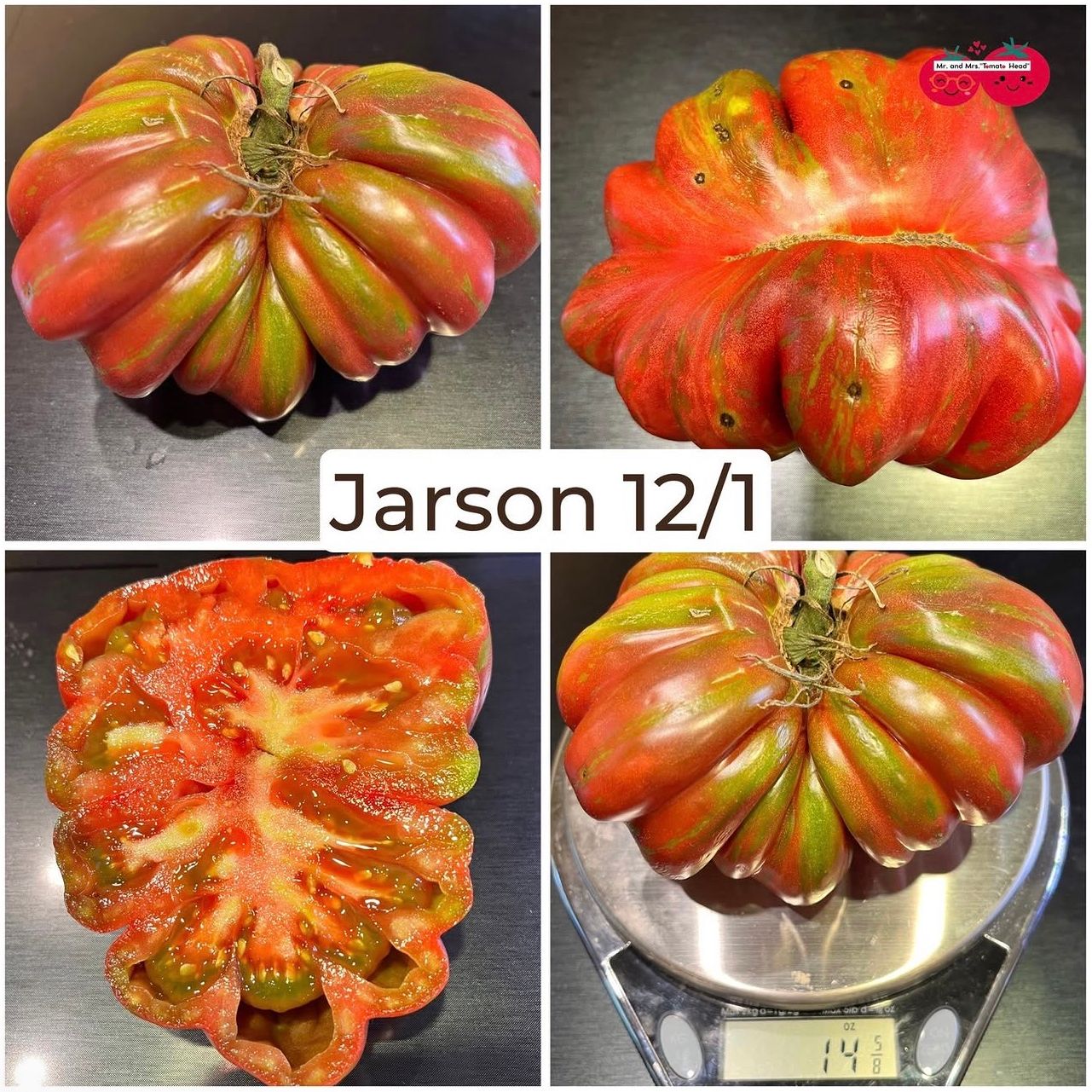 JARSON 12/1 TOMATO SEEDS