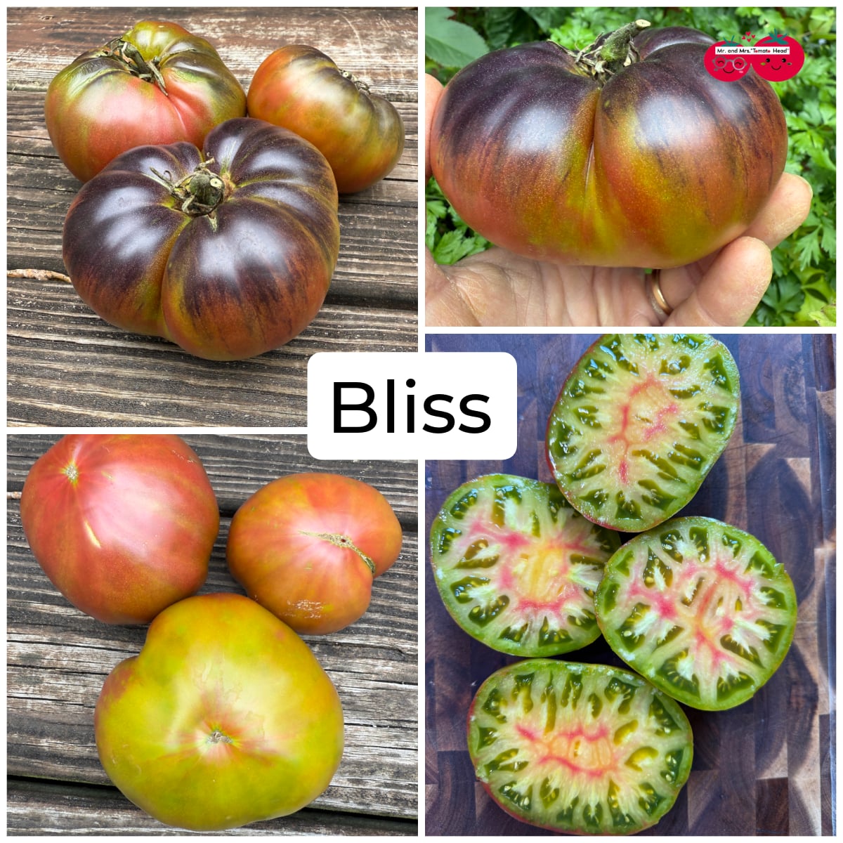 BLISS TOMATO SEEDS