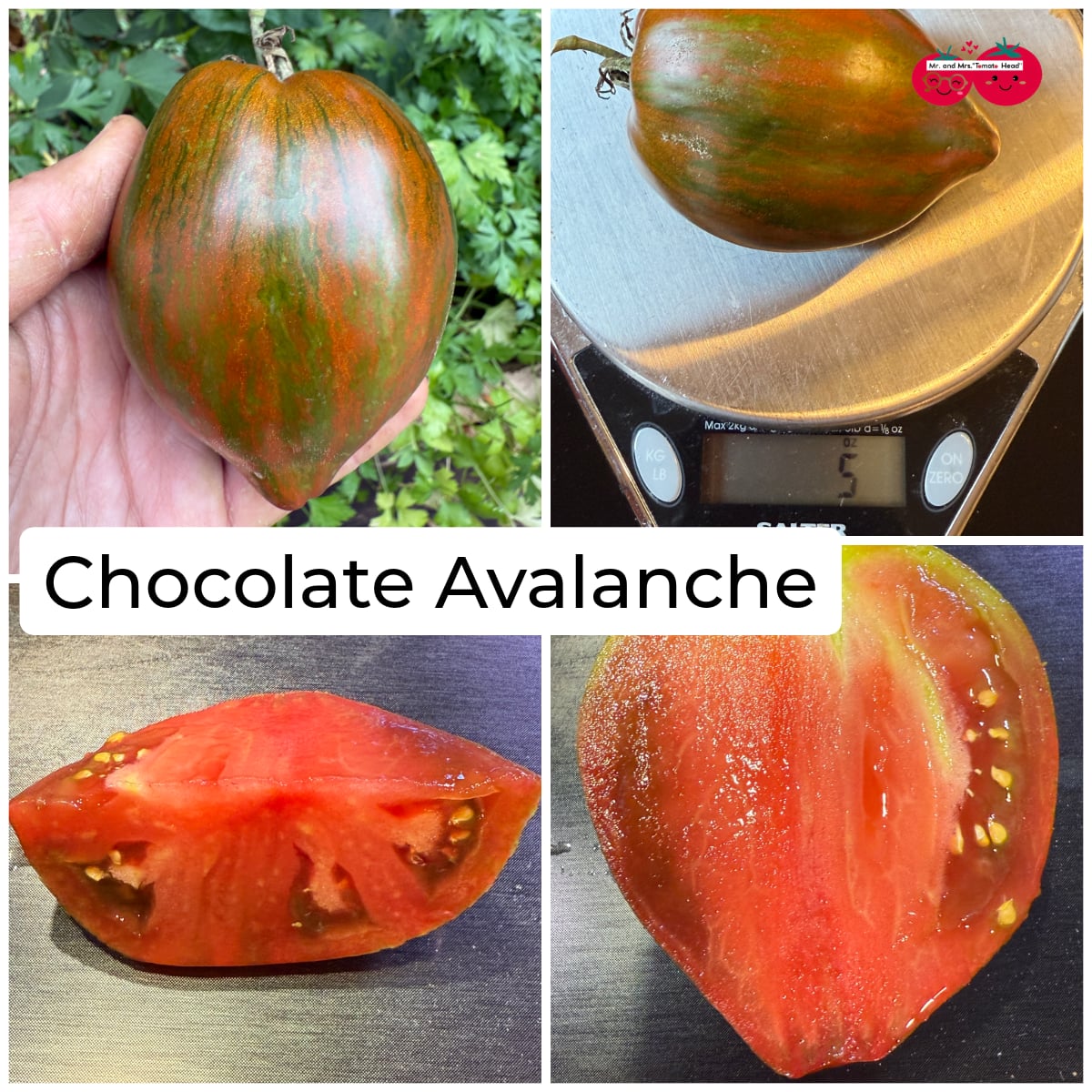 CHOCOLATE AVALANCHE TOMATO SEEDS