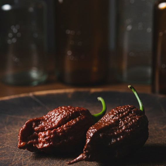 REMMERT SUPERHOT PEPPER SEEDS