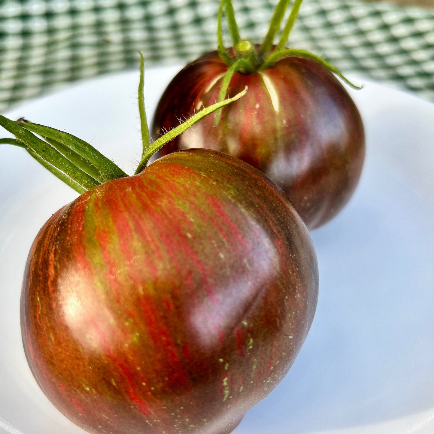 REBEL STARFIGHTER PRIME TOMATO SEEDS