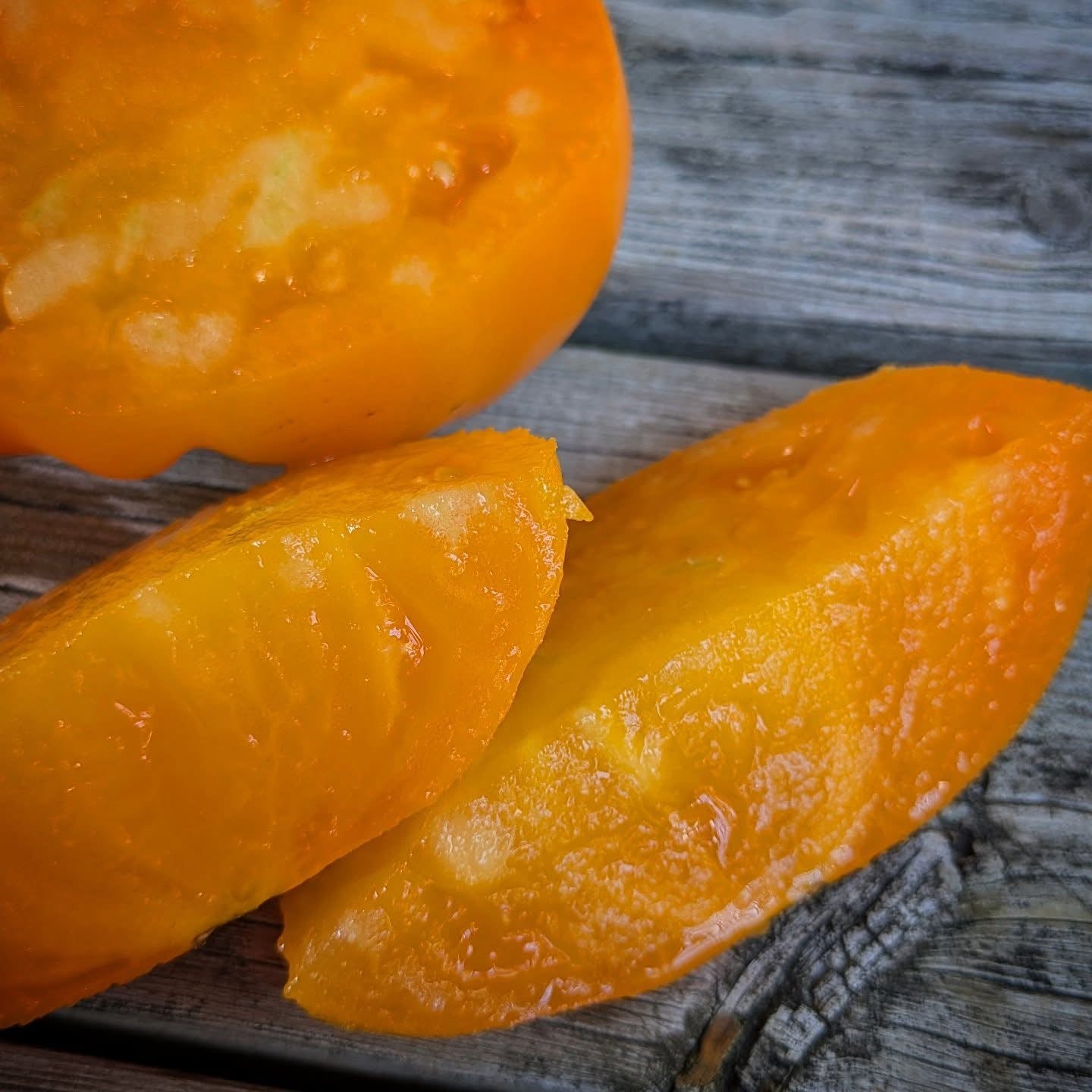 Supernova Tomato Seeds