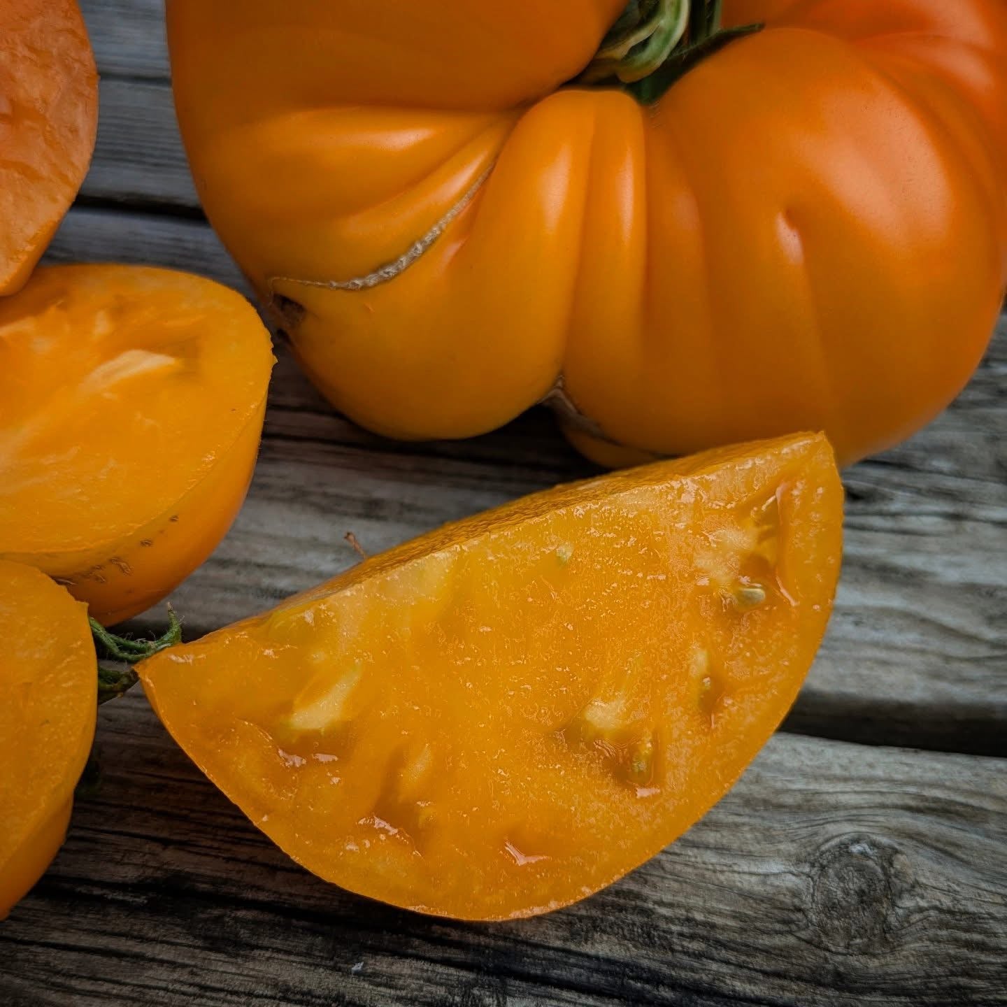 Bear Paw Yellow Tomato Seeds