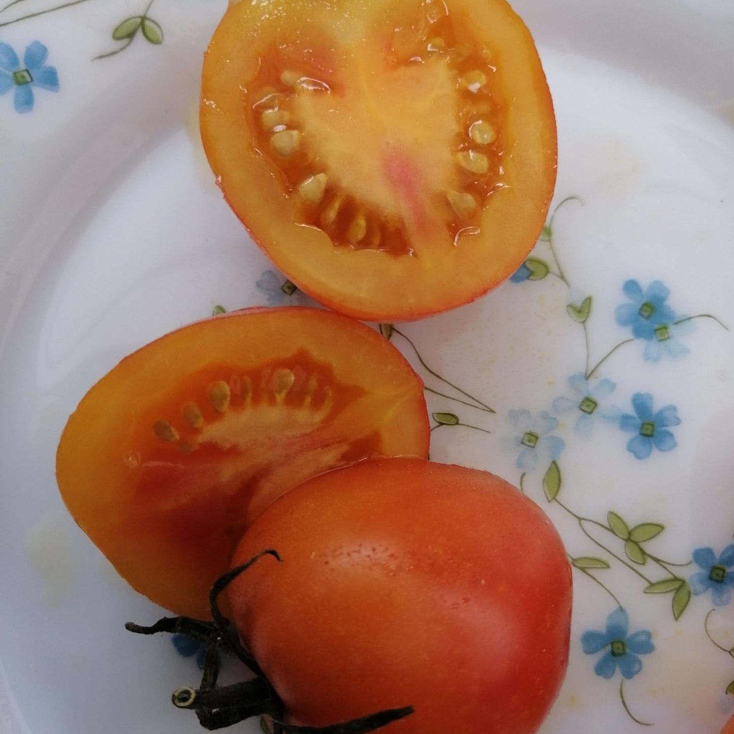 KARMA Apricot