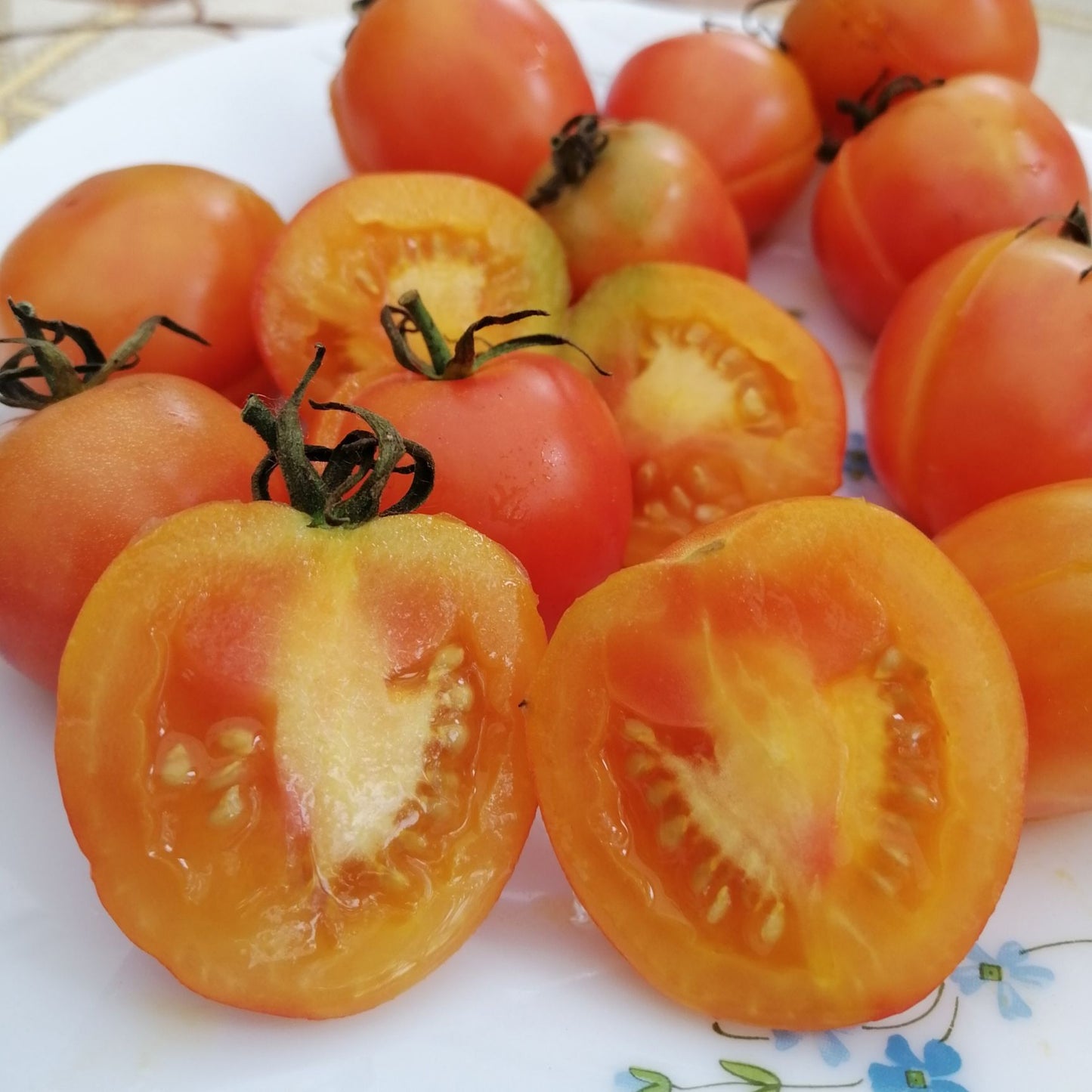 KARMA Apricot