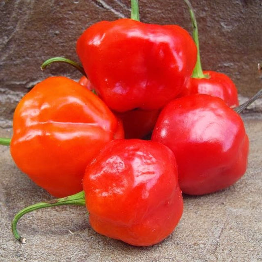 Peppādew